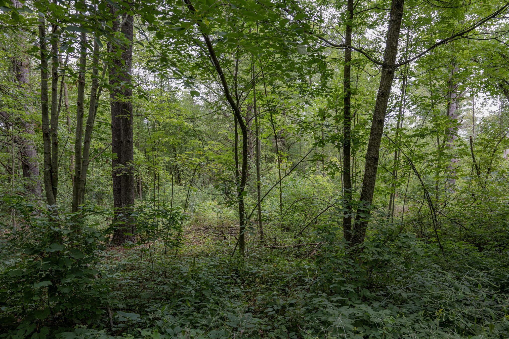 120.00AC Juneau Woods Road