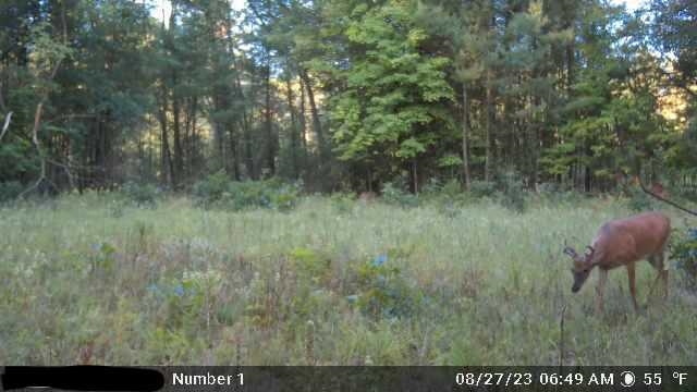 120.00AC Juneau Woods Road