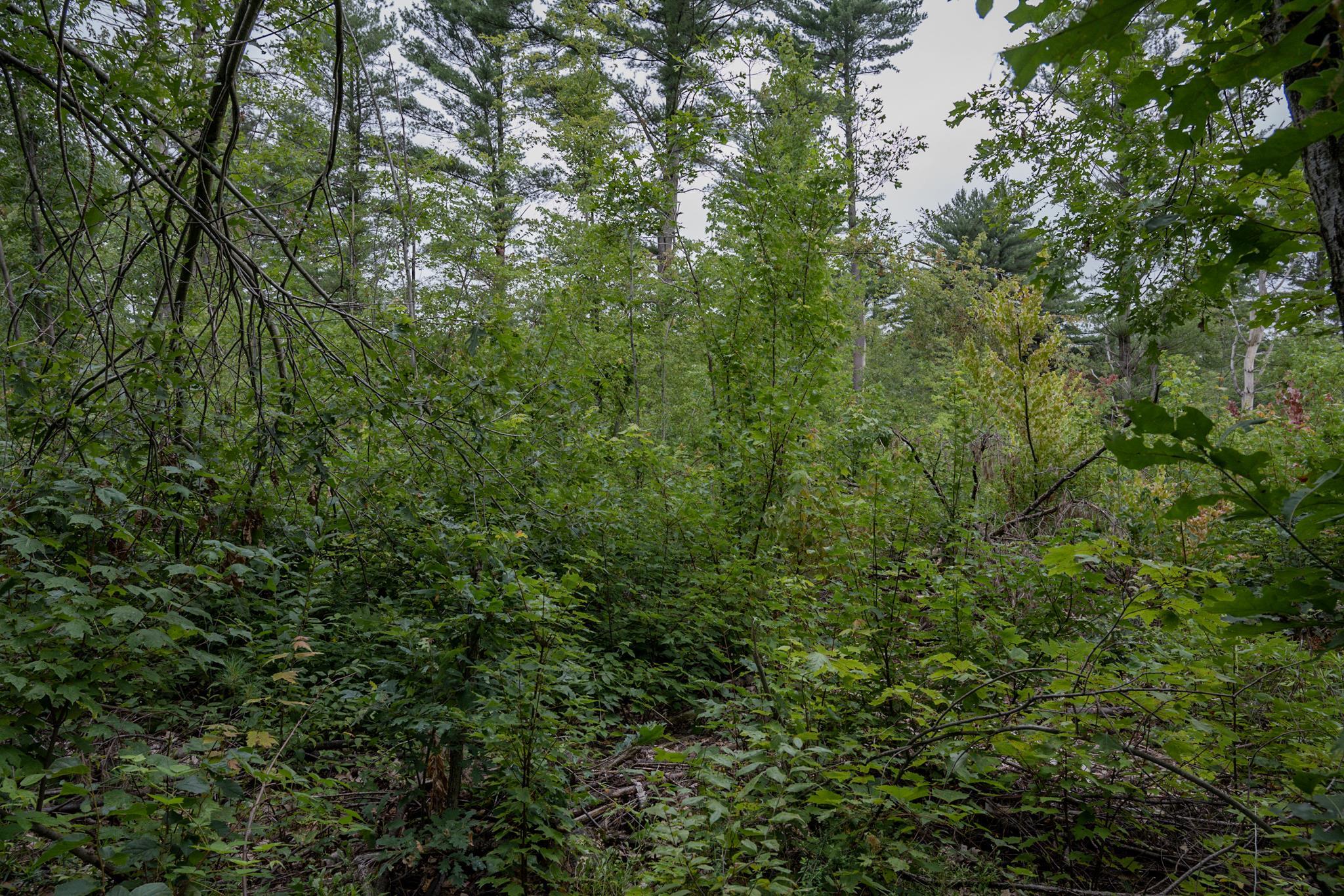 120.00AC Juneau Woods Road