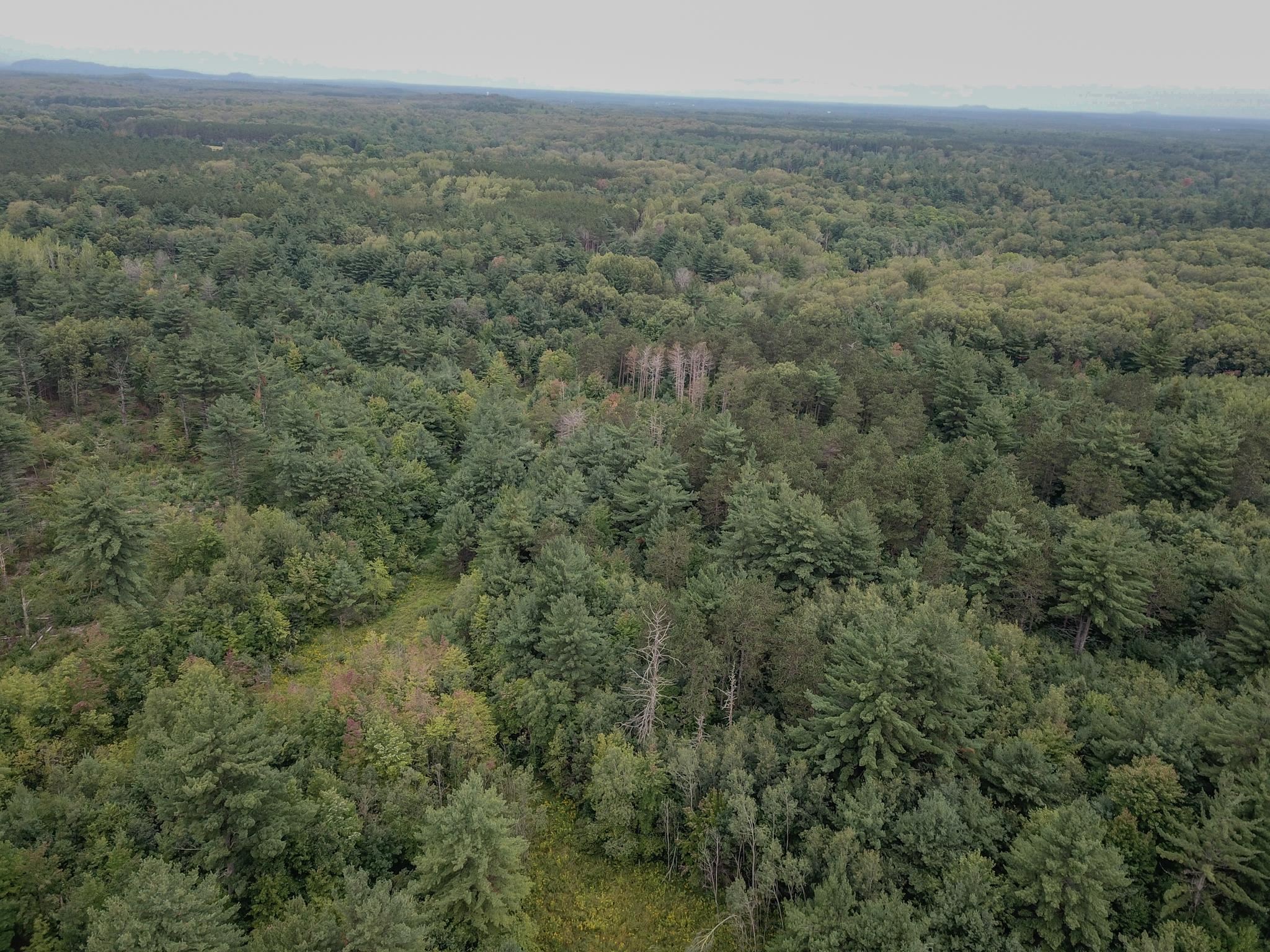 120.00AC Juneau Woods Road
