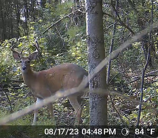 120.00AC Juneau Woods Road