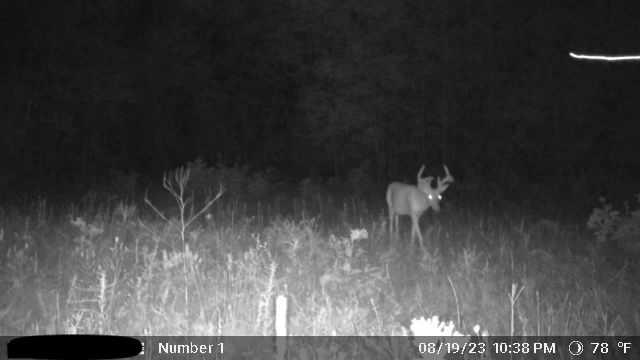 120.00AC Juneau Woods Road