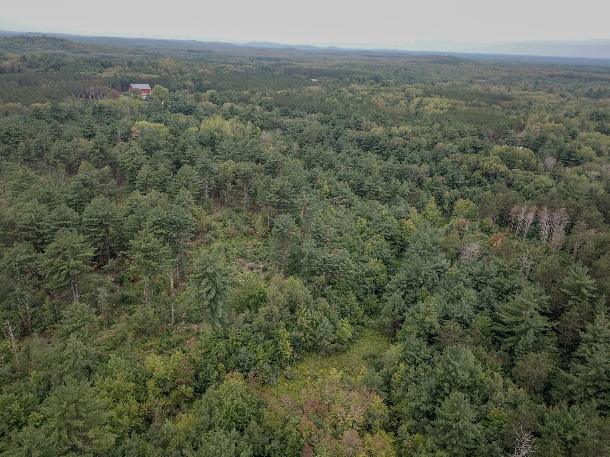 120.00AC Juneau Woods Road