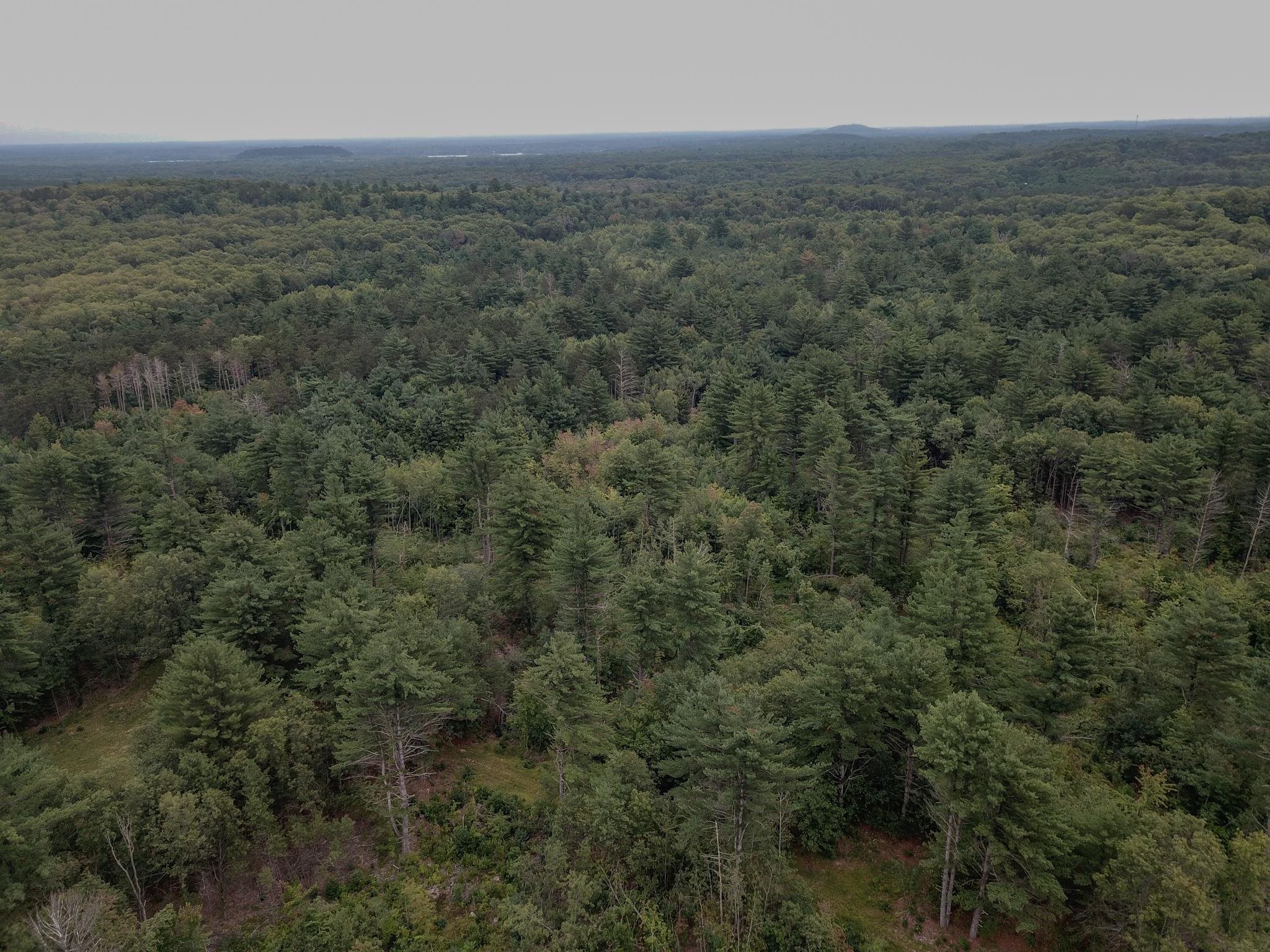 120.00AC Juneau Woods Road