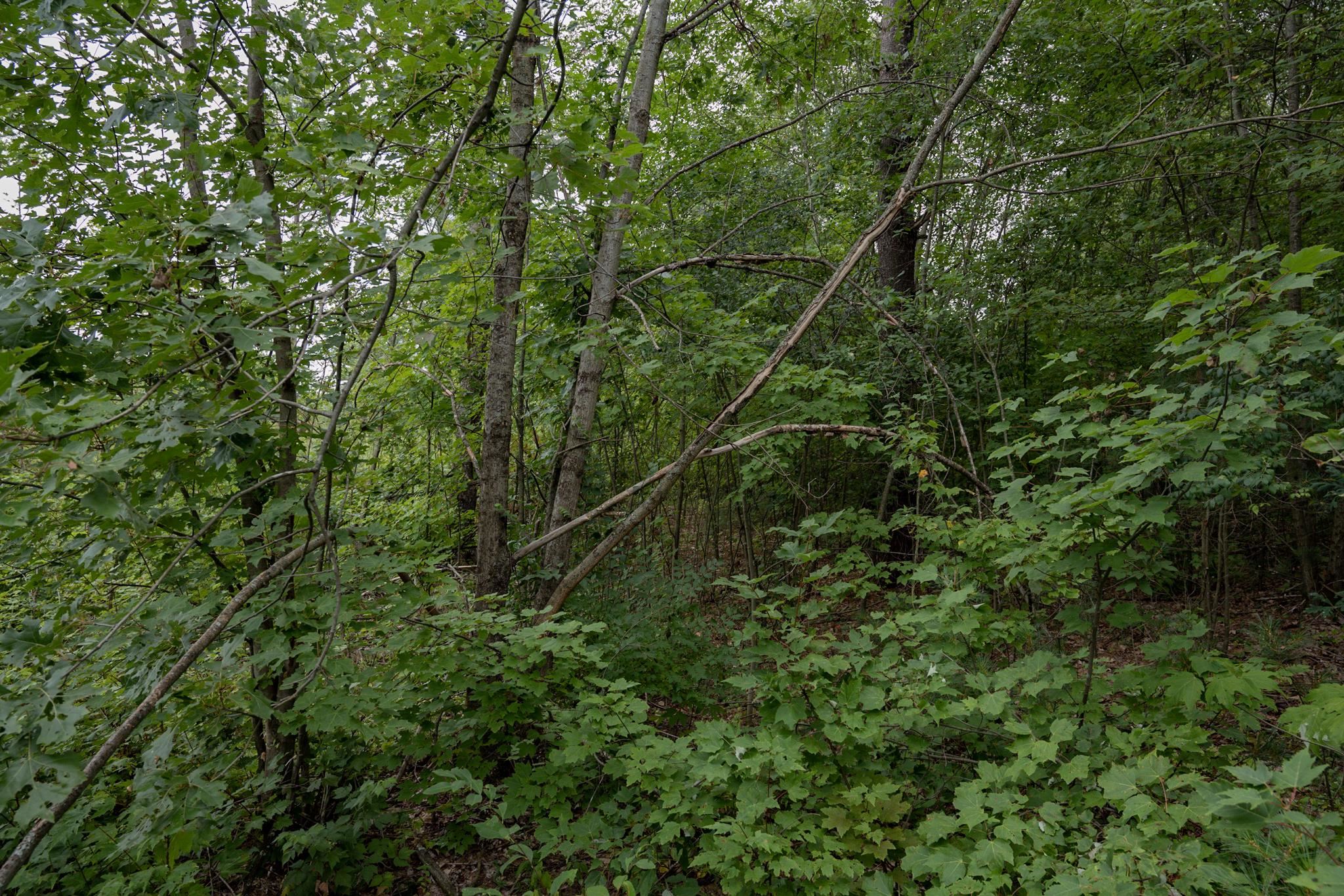 120.00AC Juneau Woods Road