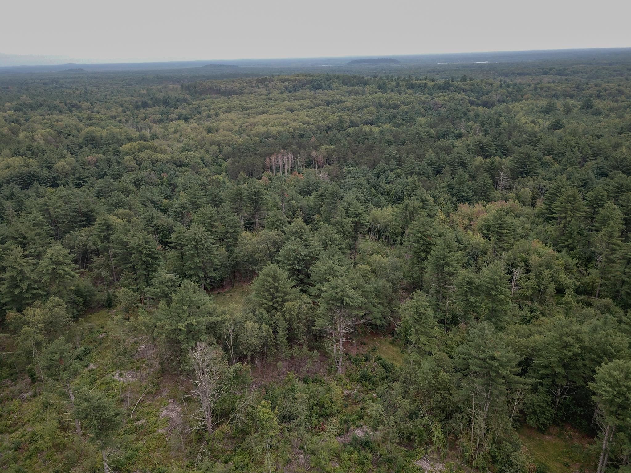 120.00AC Juneau Woods Road
