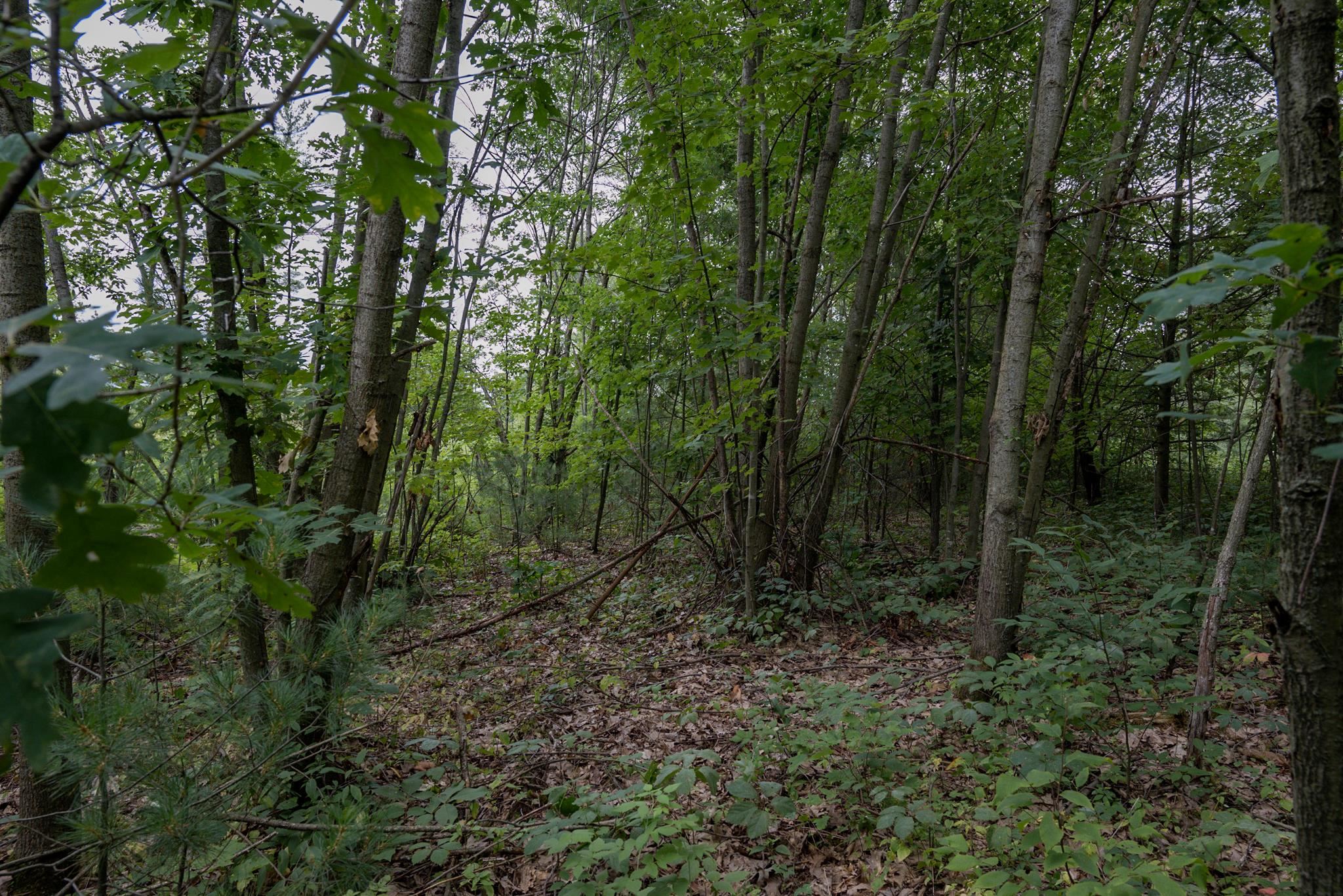 120.00AC Juneau Woods Road