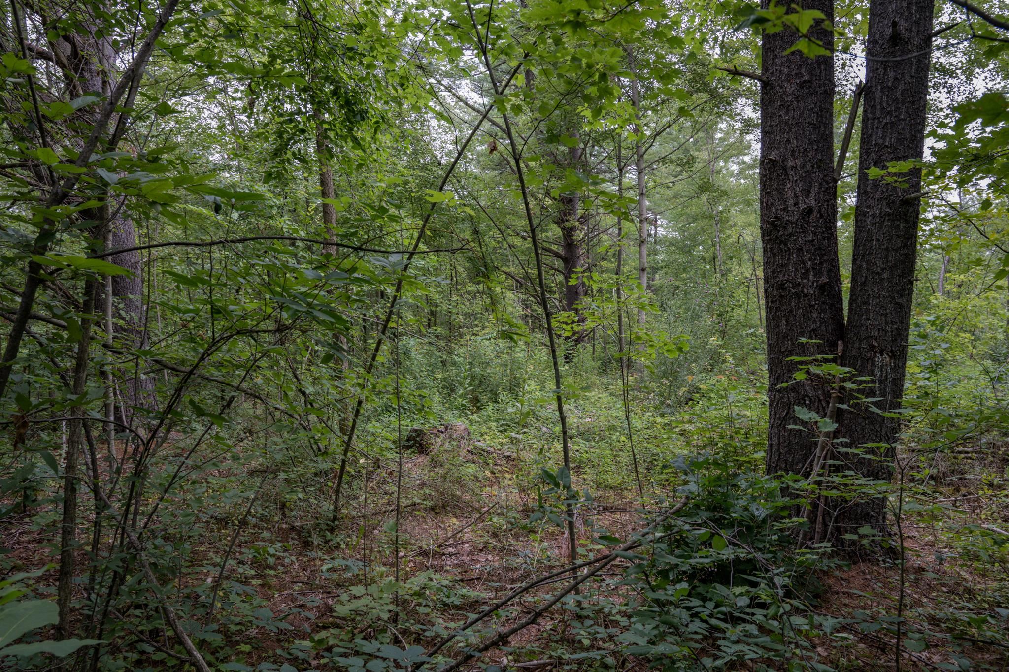 120.00AC Juneau Woods Road