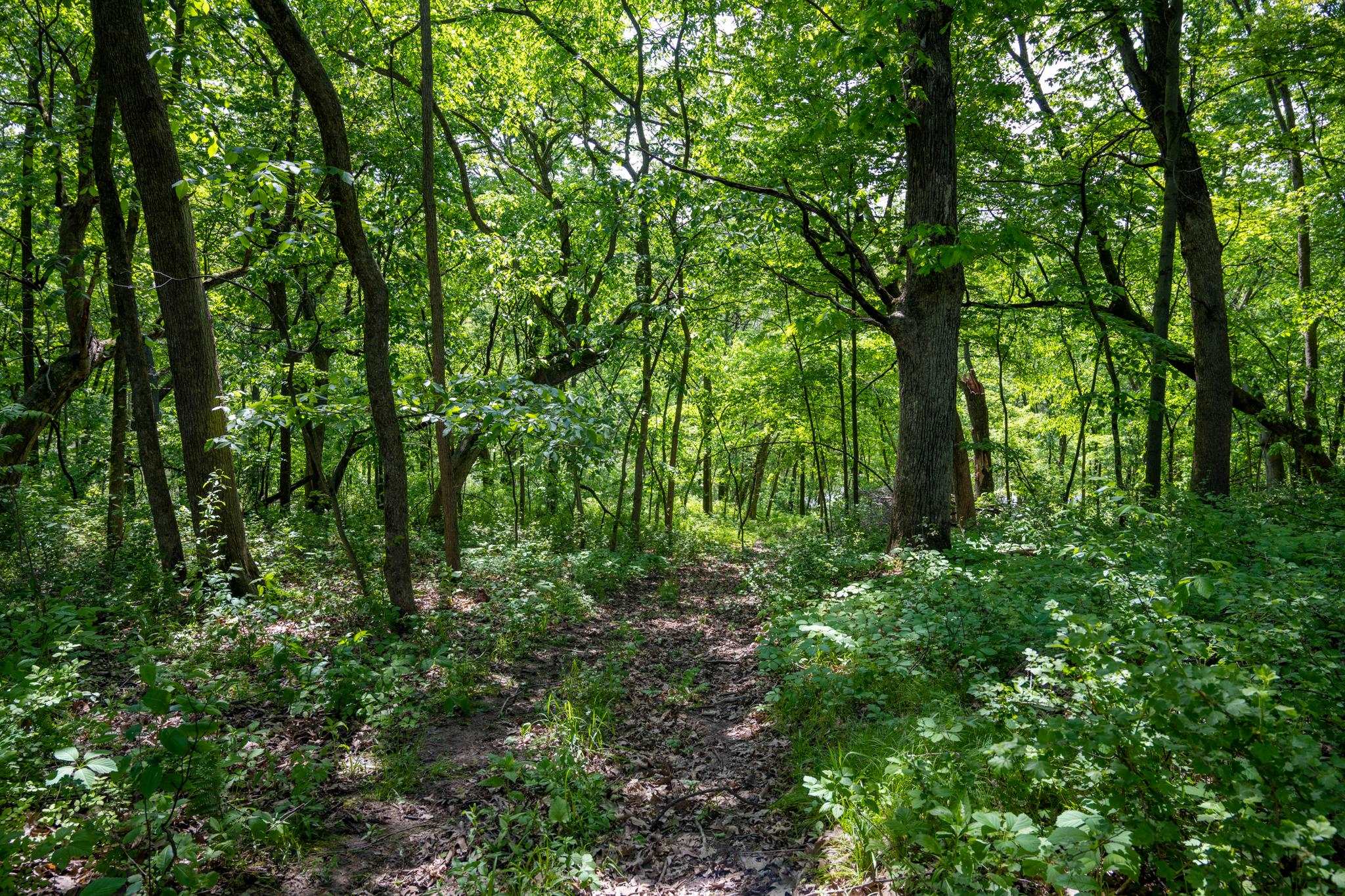 N2396 Bobcat Lake Road