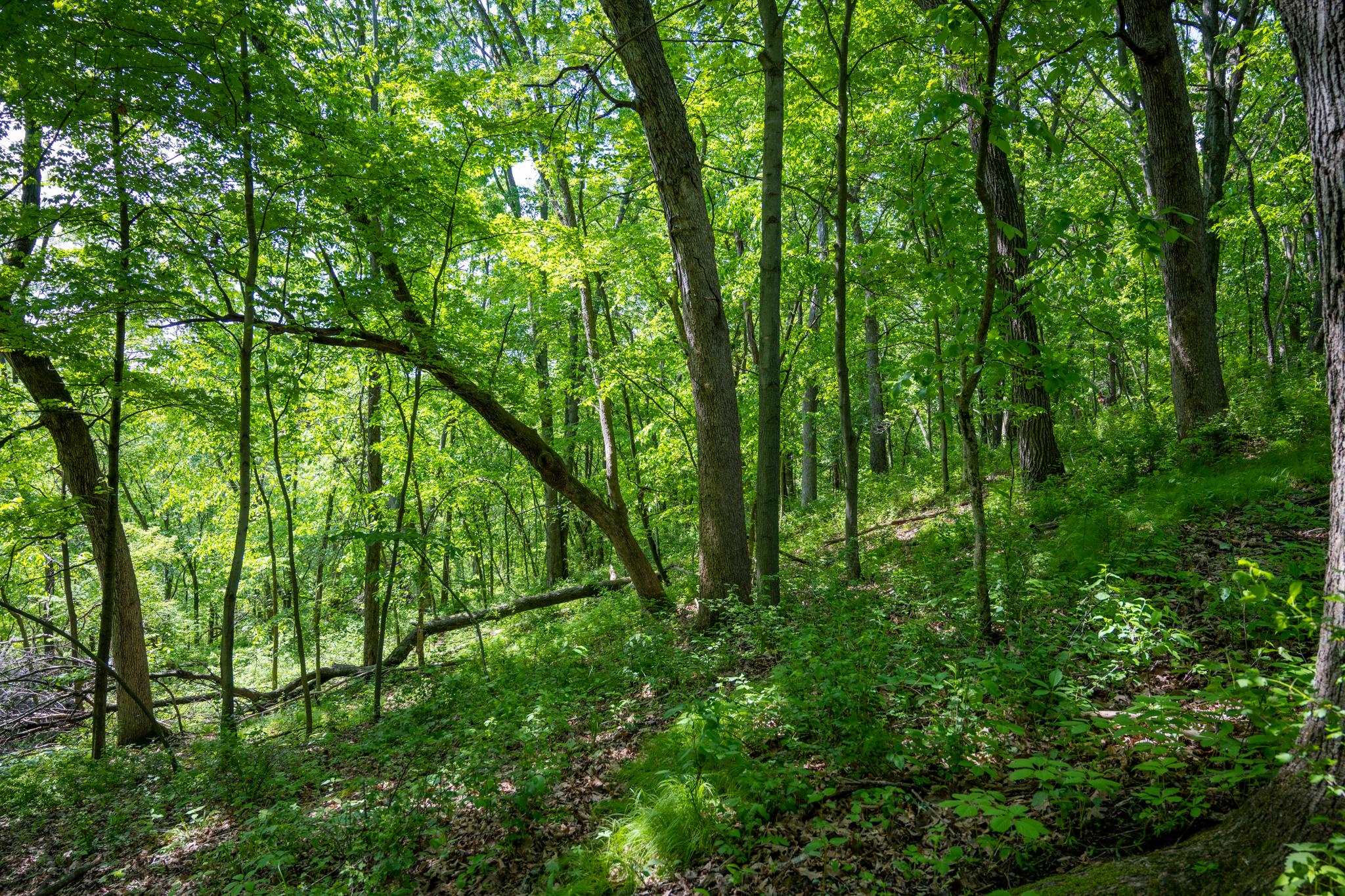 N2396 Bobcat Lake Road