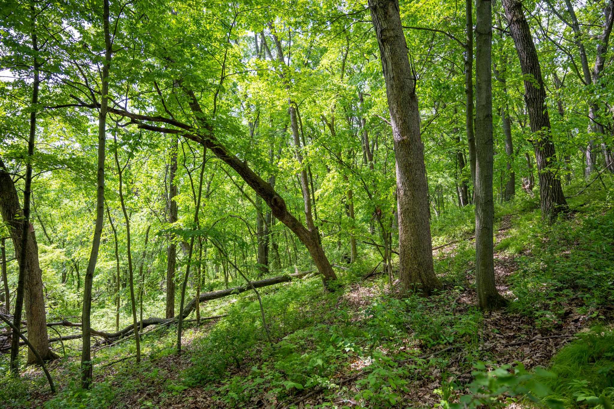 N2396 Bobcat Lake Road