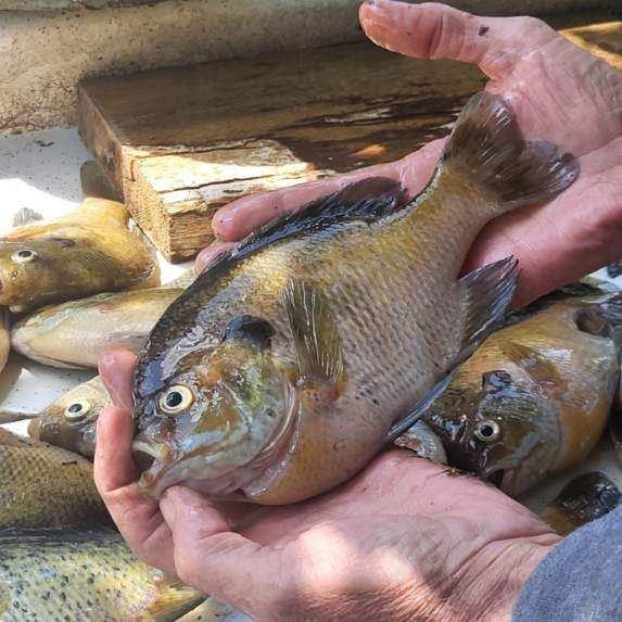 N2396 Bobcat Lake Road