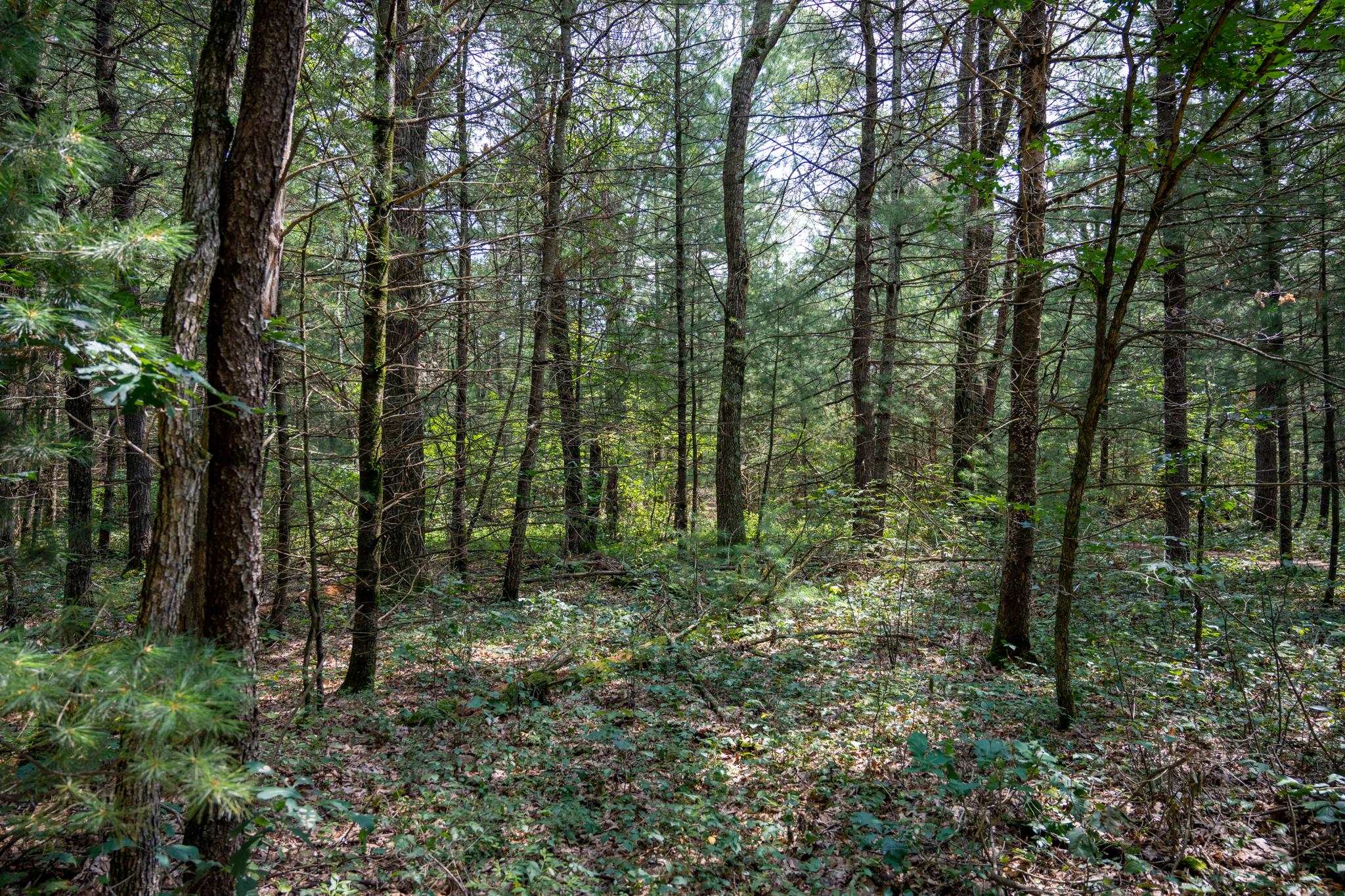 N3744 Townline KL Road