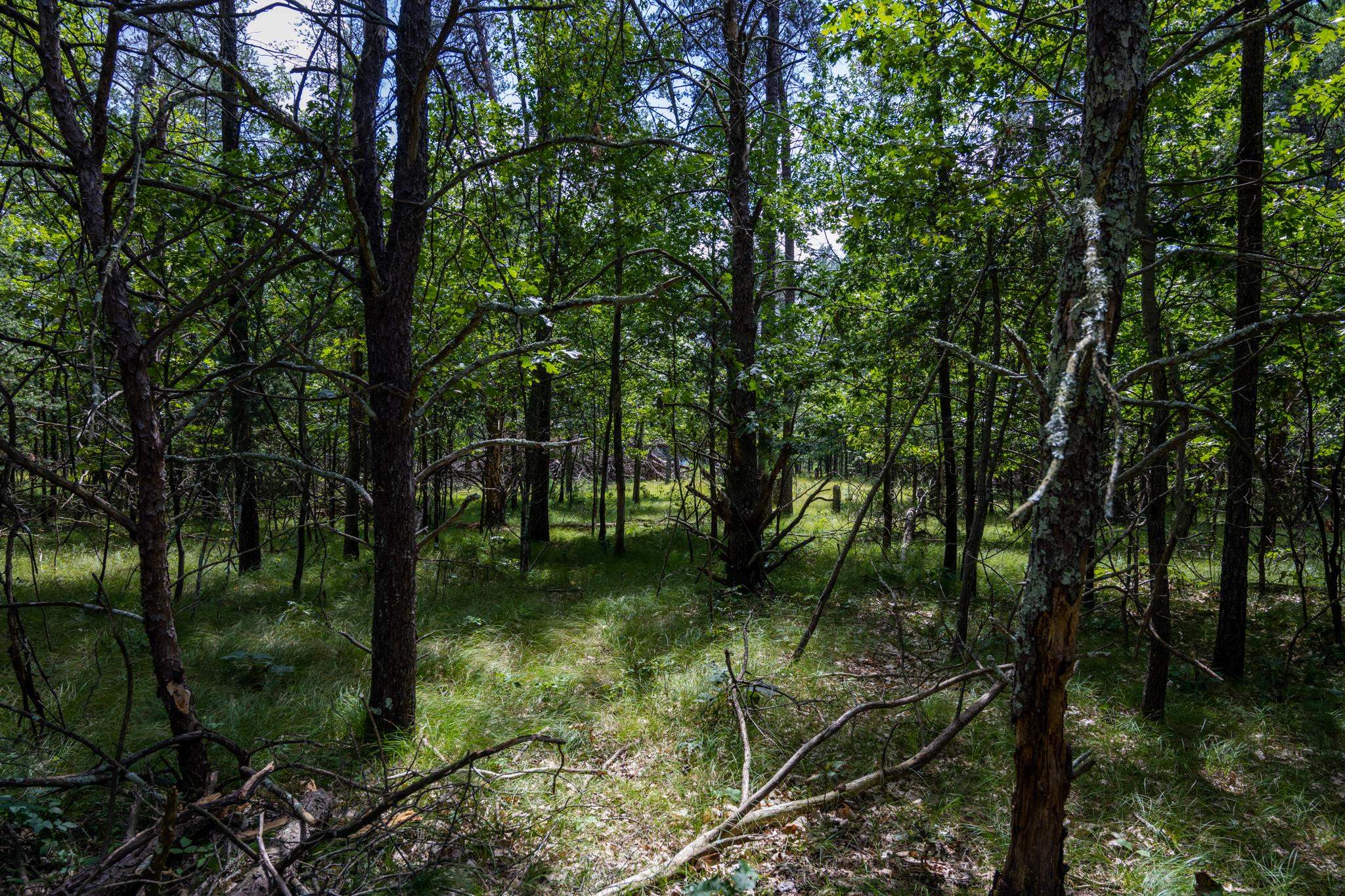 Lot 18 Etiers Way