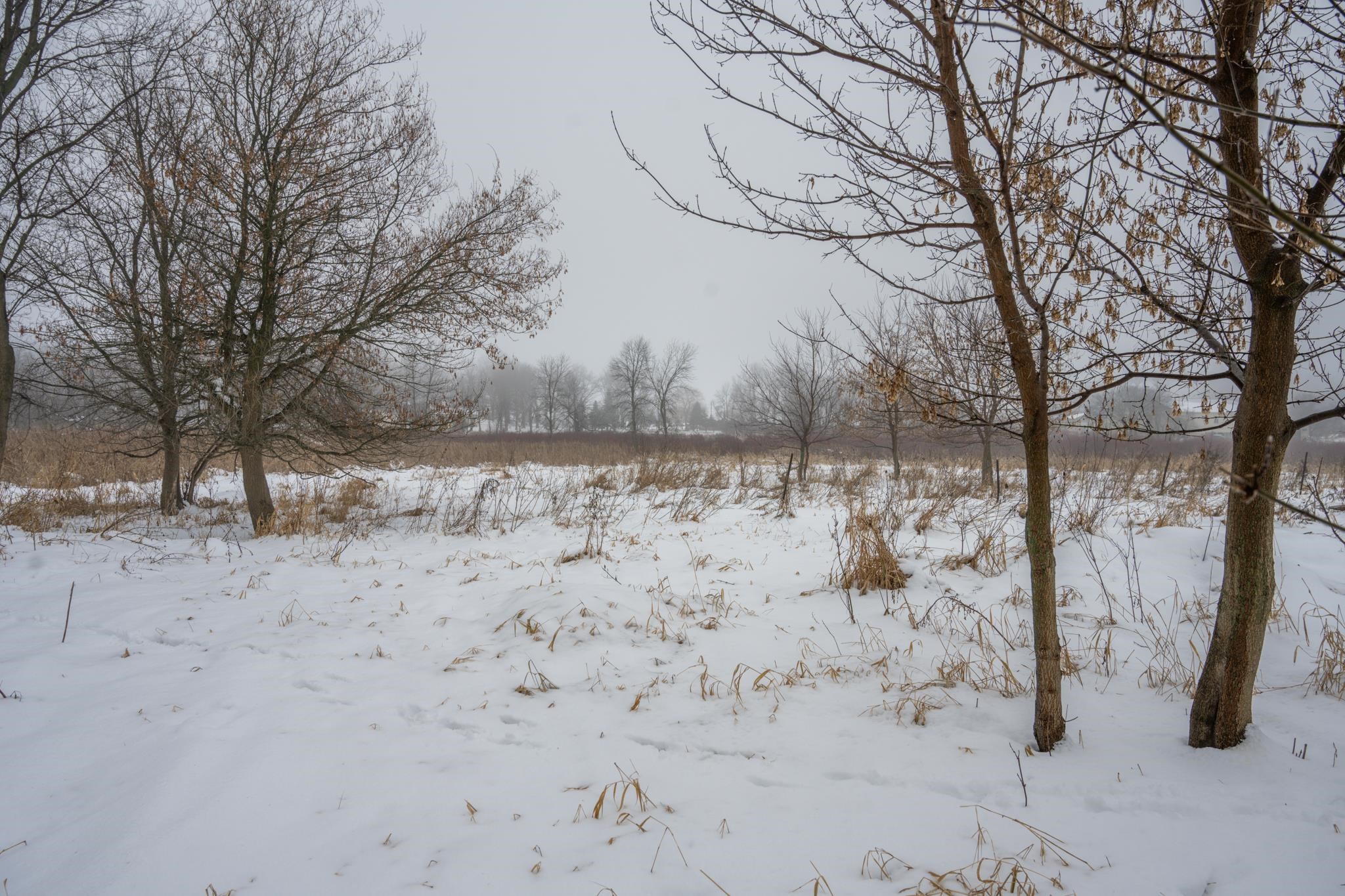 W10802 Blackhawk Trail