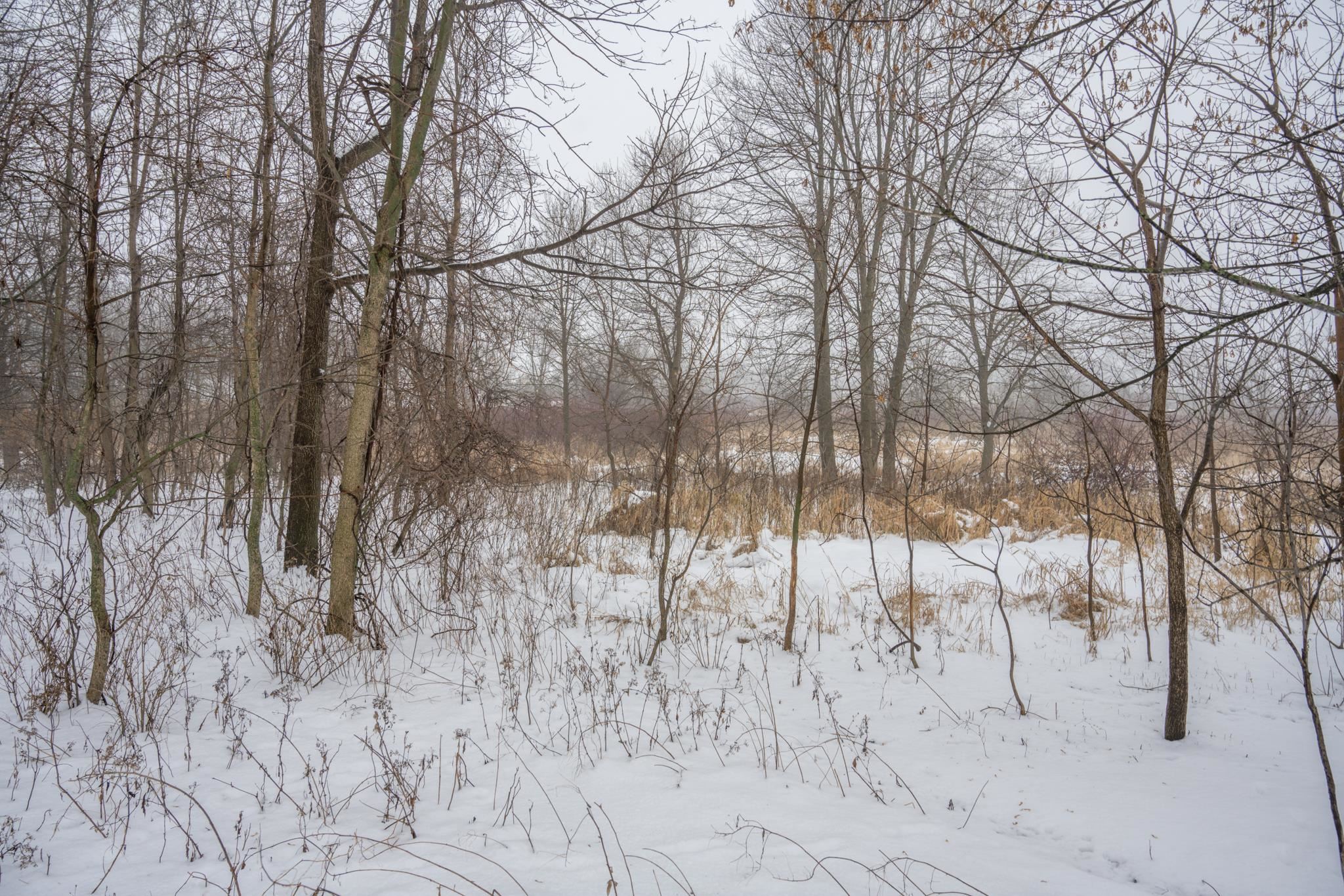 W10802 Blackhawk Trail