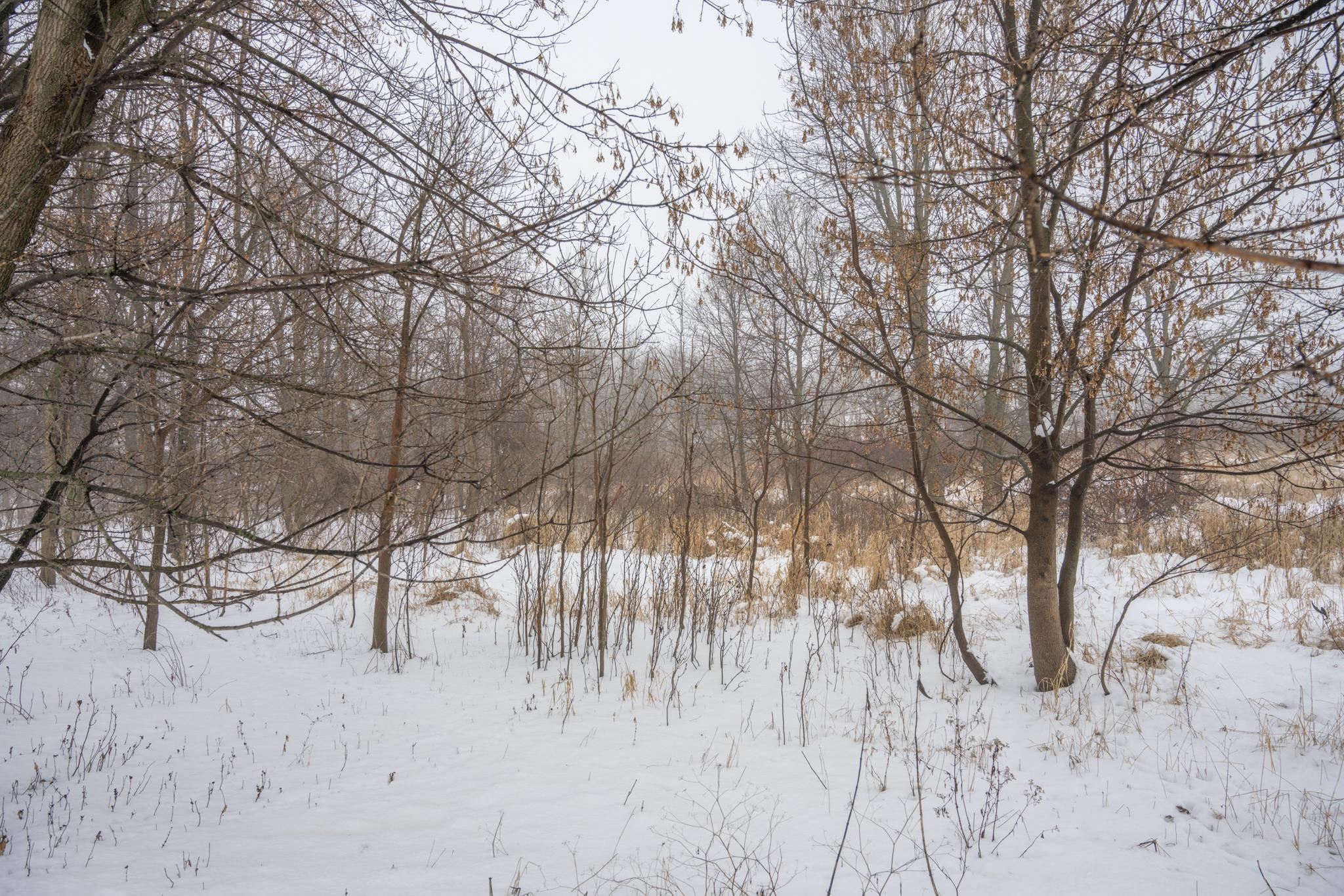 W10802 Blackhawk Trail