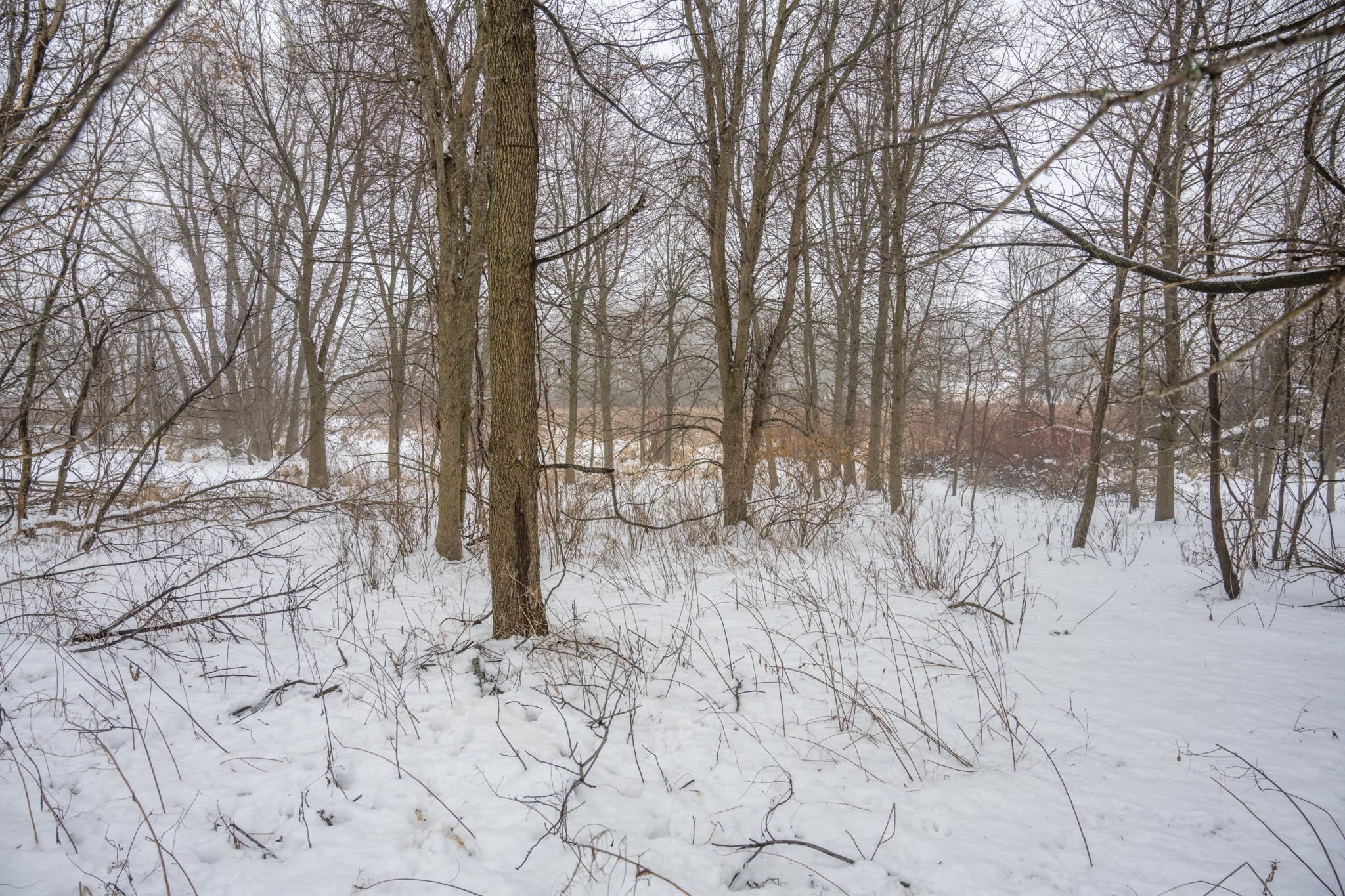 W10802 Blackhawk Trail