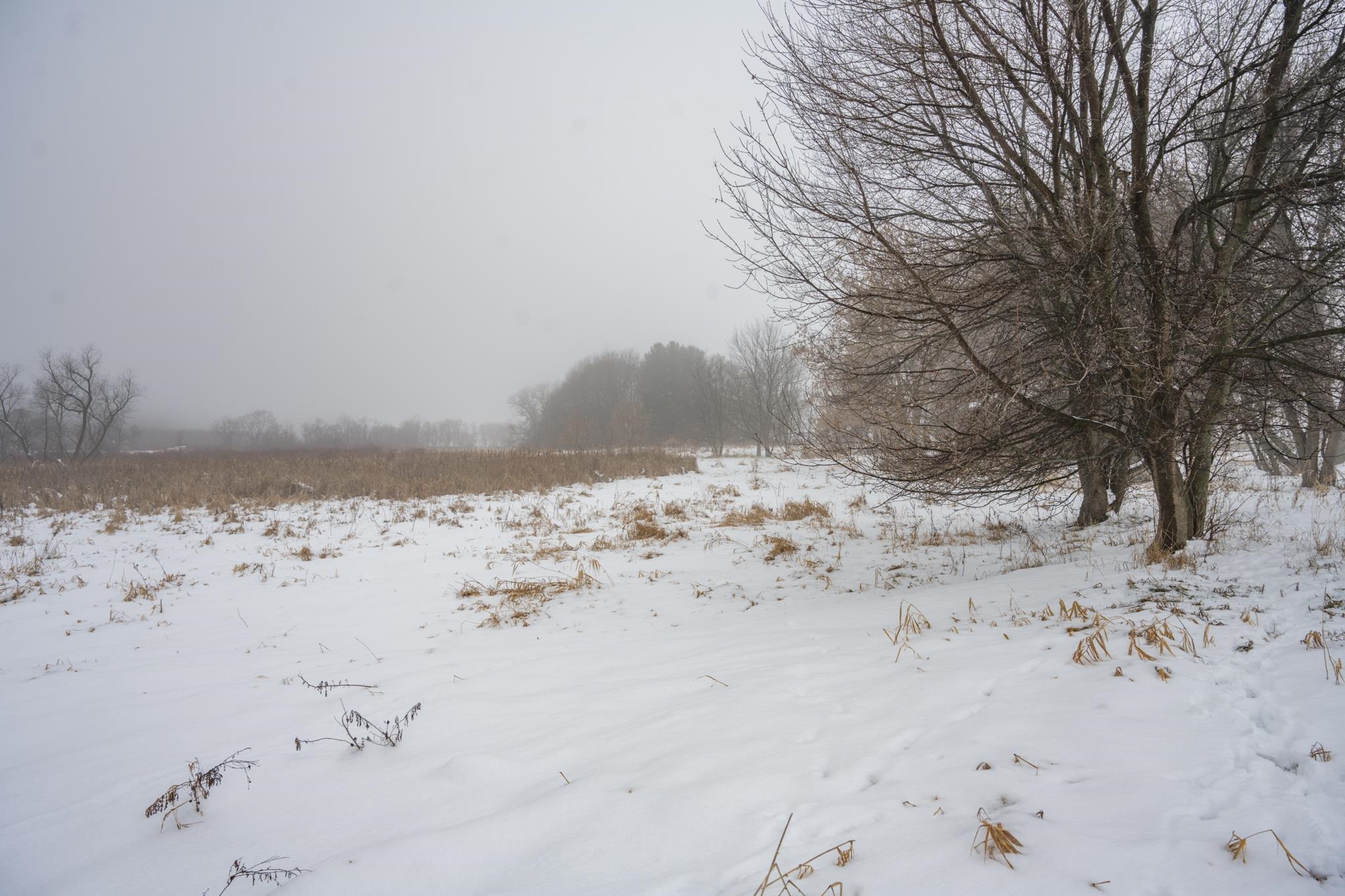 W10802 Blackhawk Trail