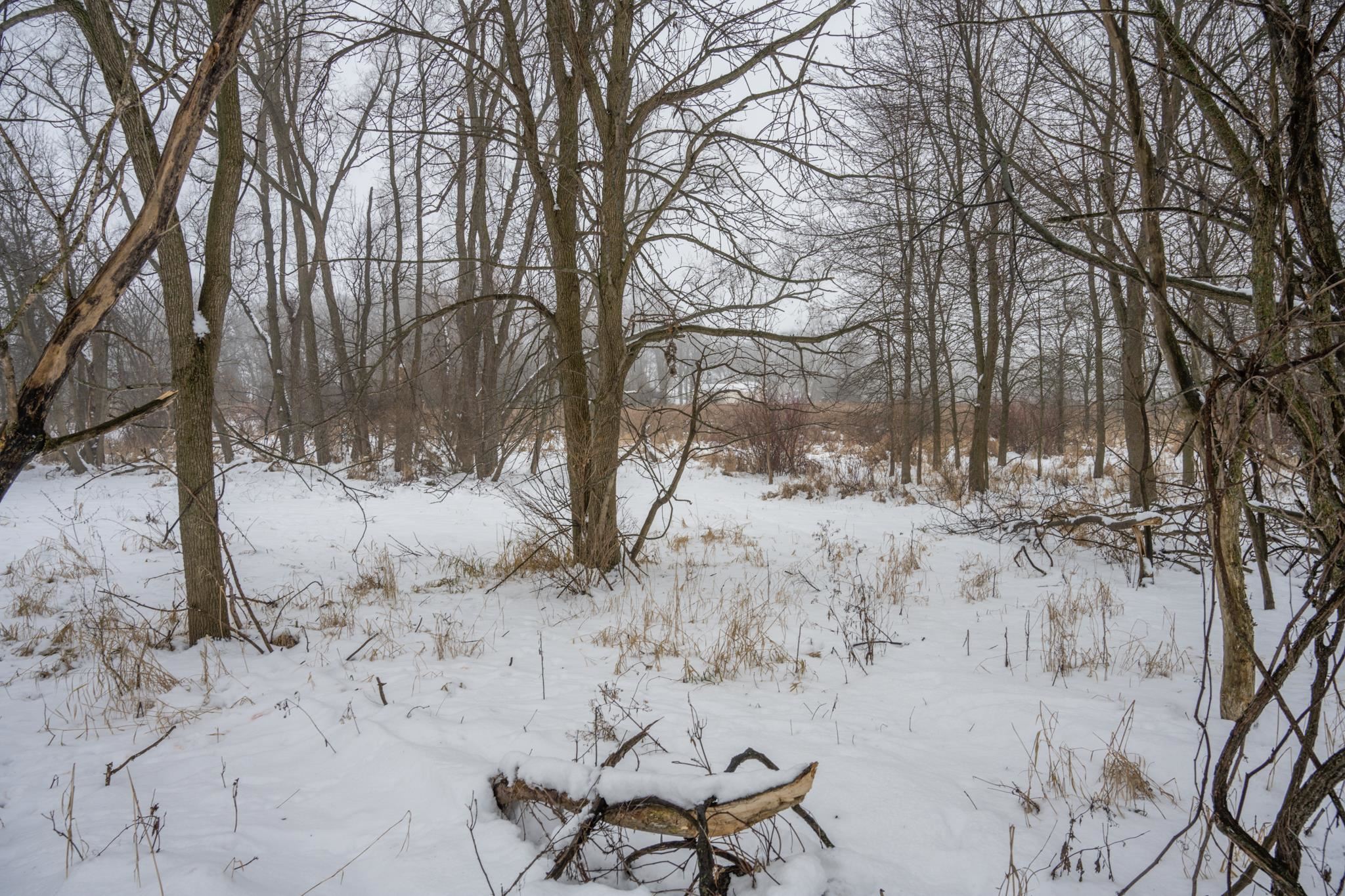 W10802 Blackhawk Trail