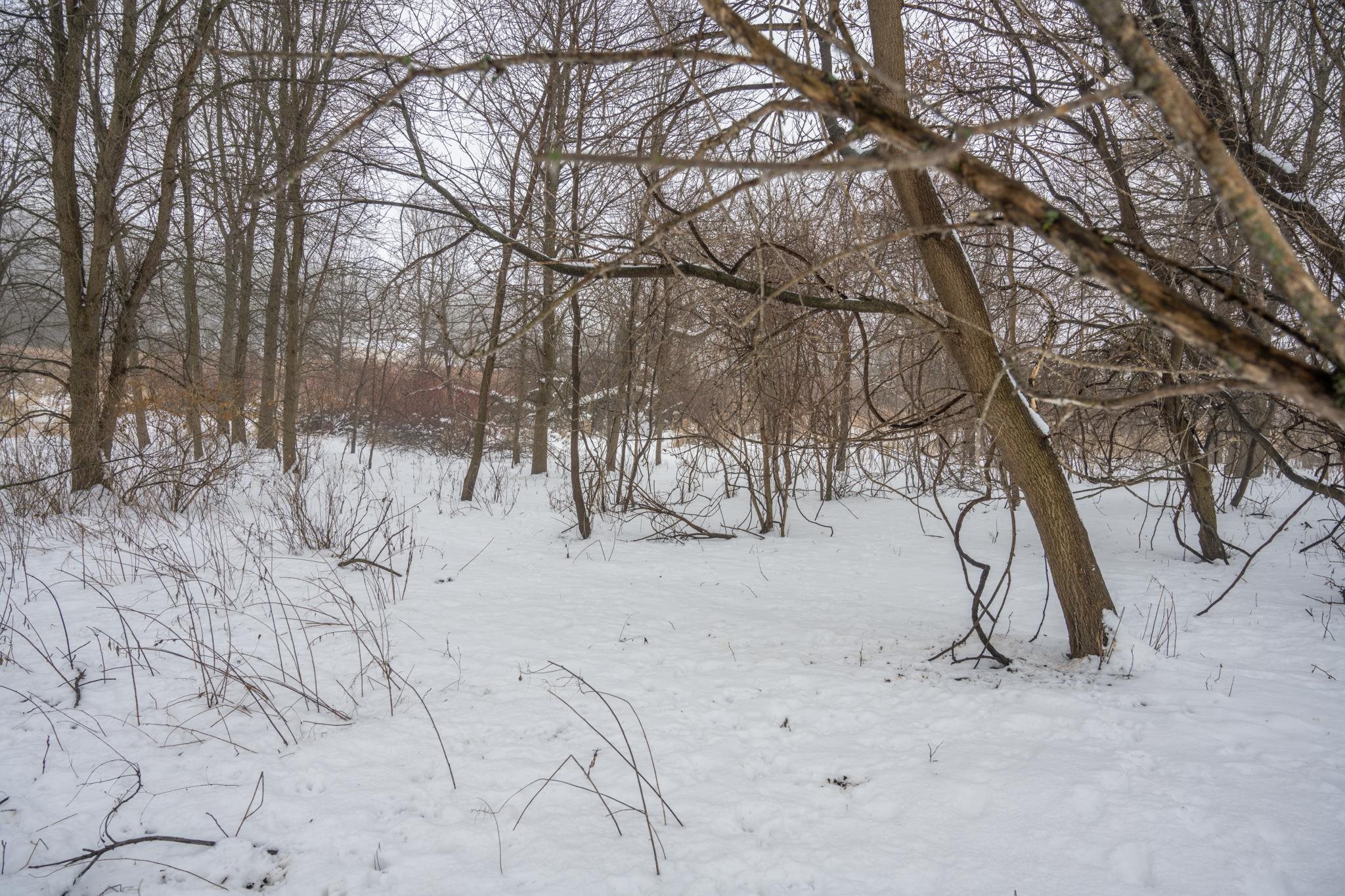 W10802 Blackhawk Trail