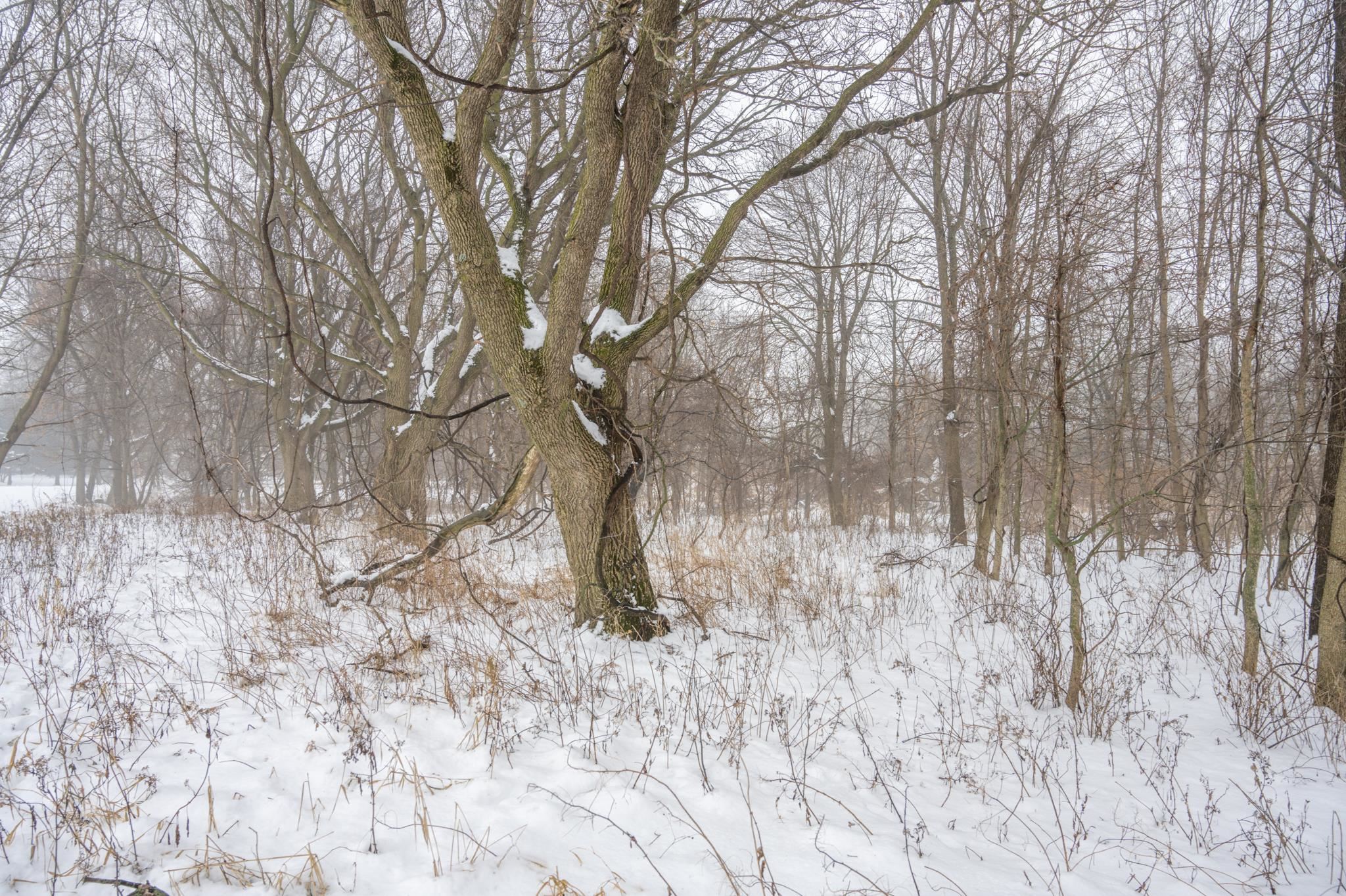 W10802 Blackhawk Trail