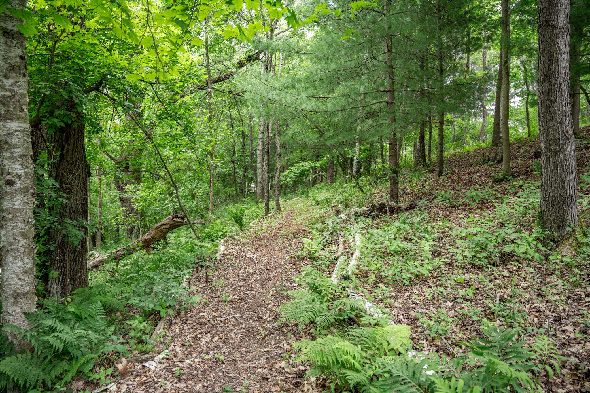 N4755 Whitetail Lane