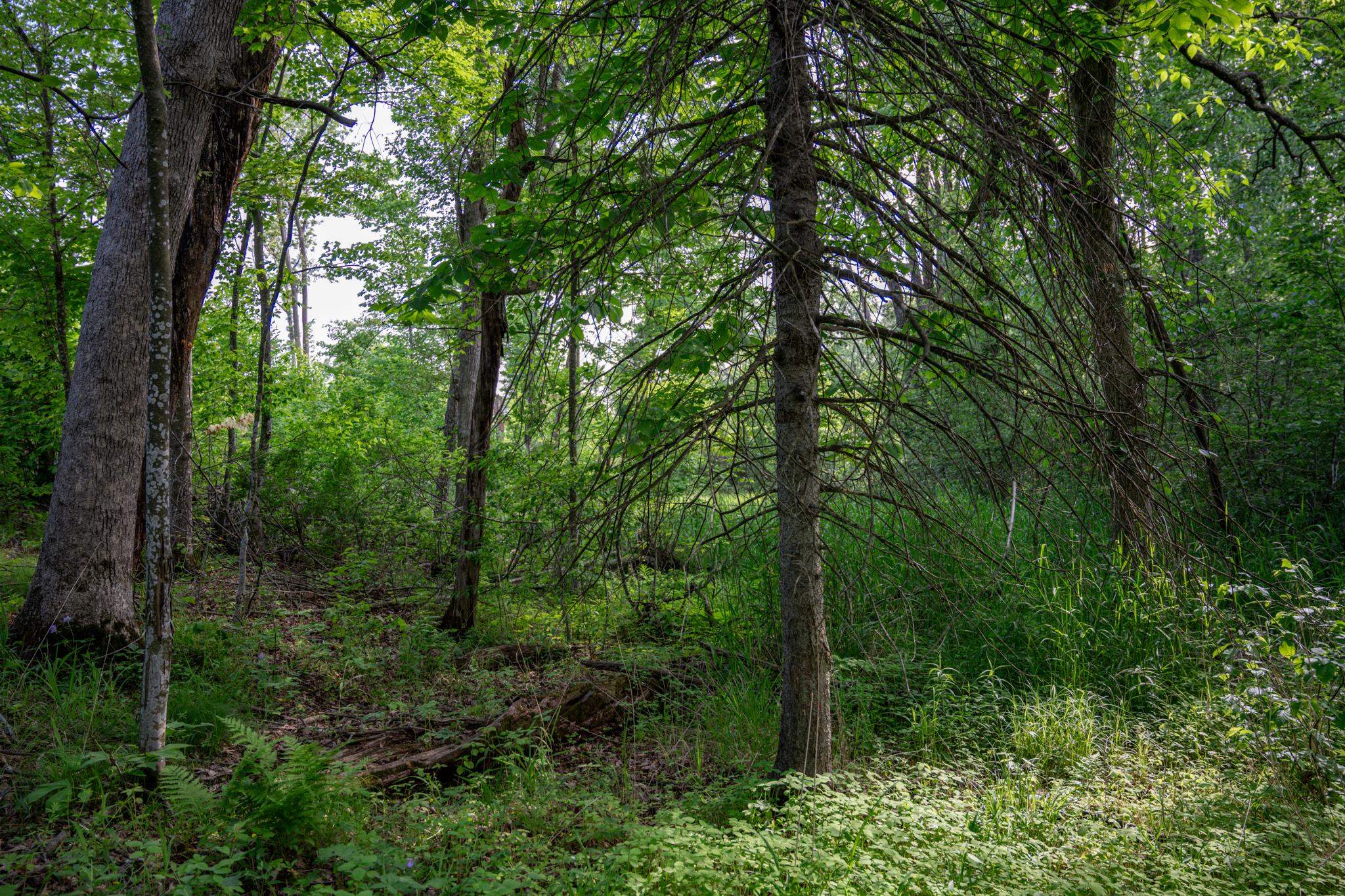 N6927 Schroeder Road