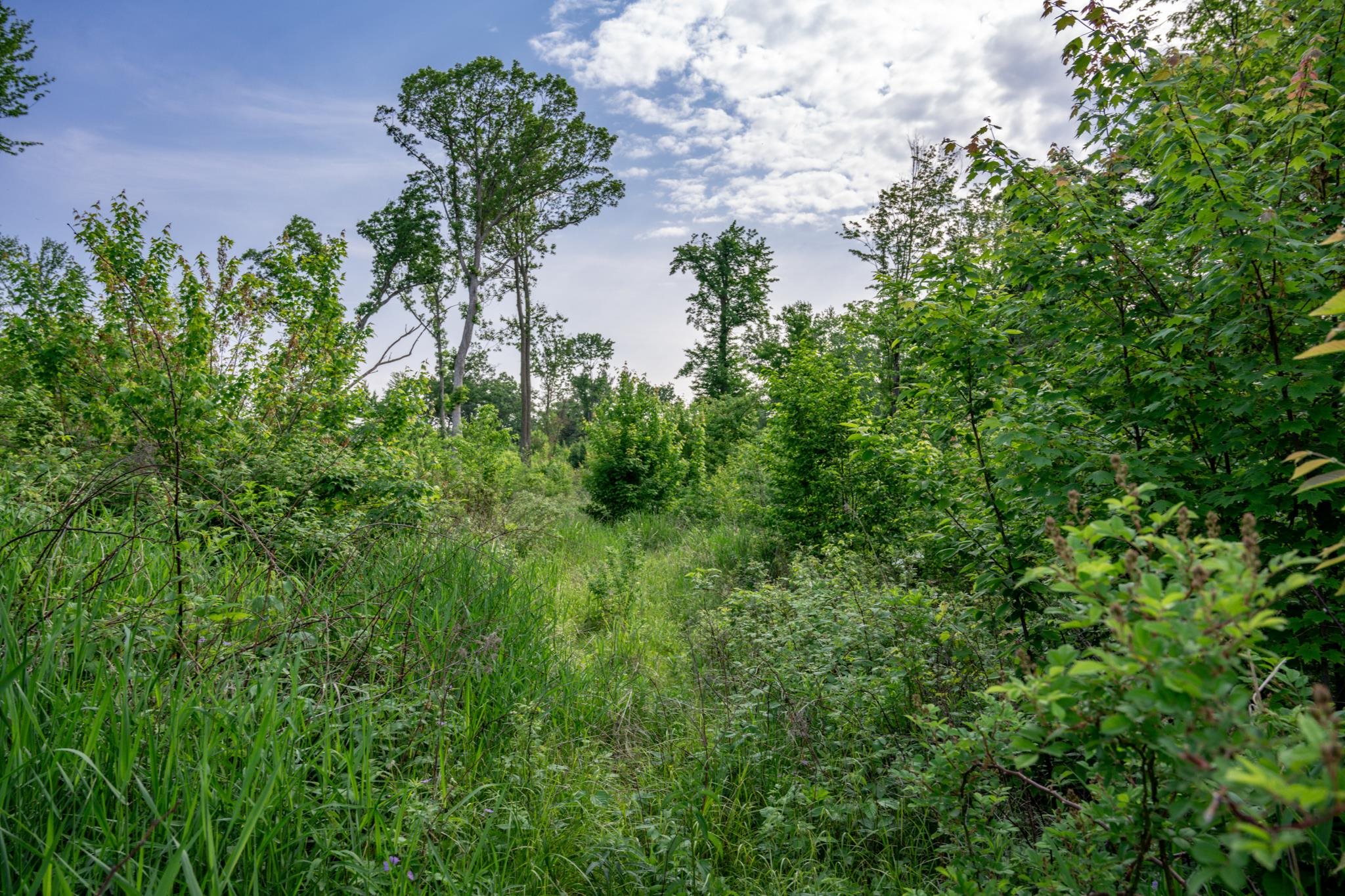 N6927 Schroeder Road