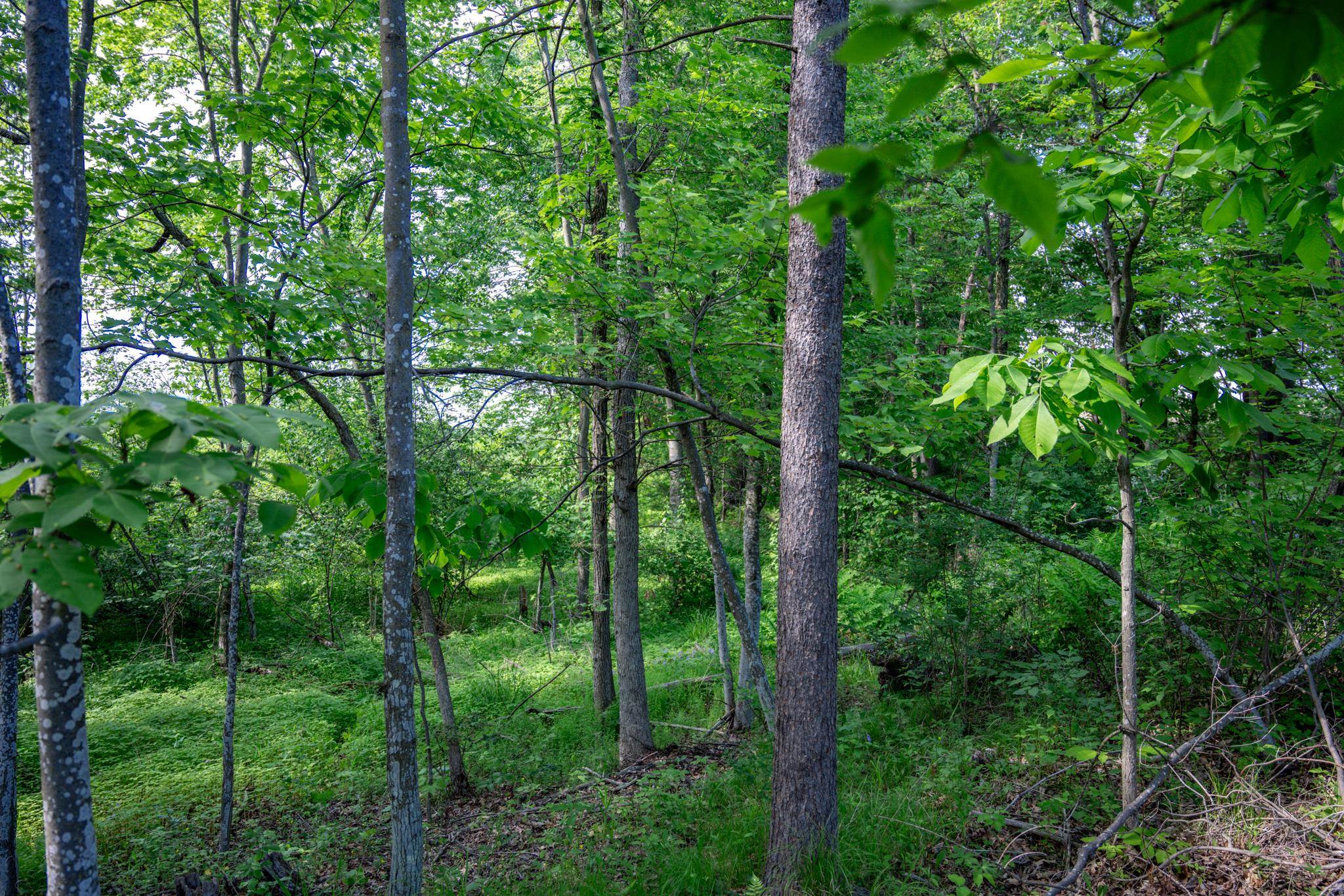 N6927 Schroeder Road