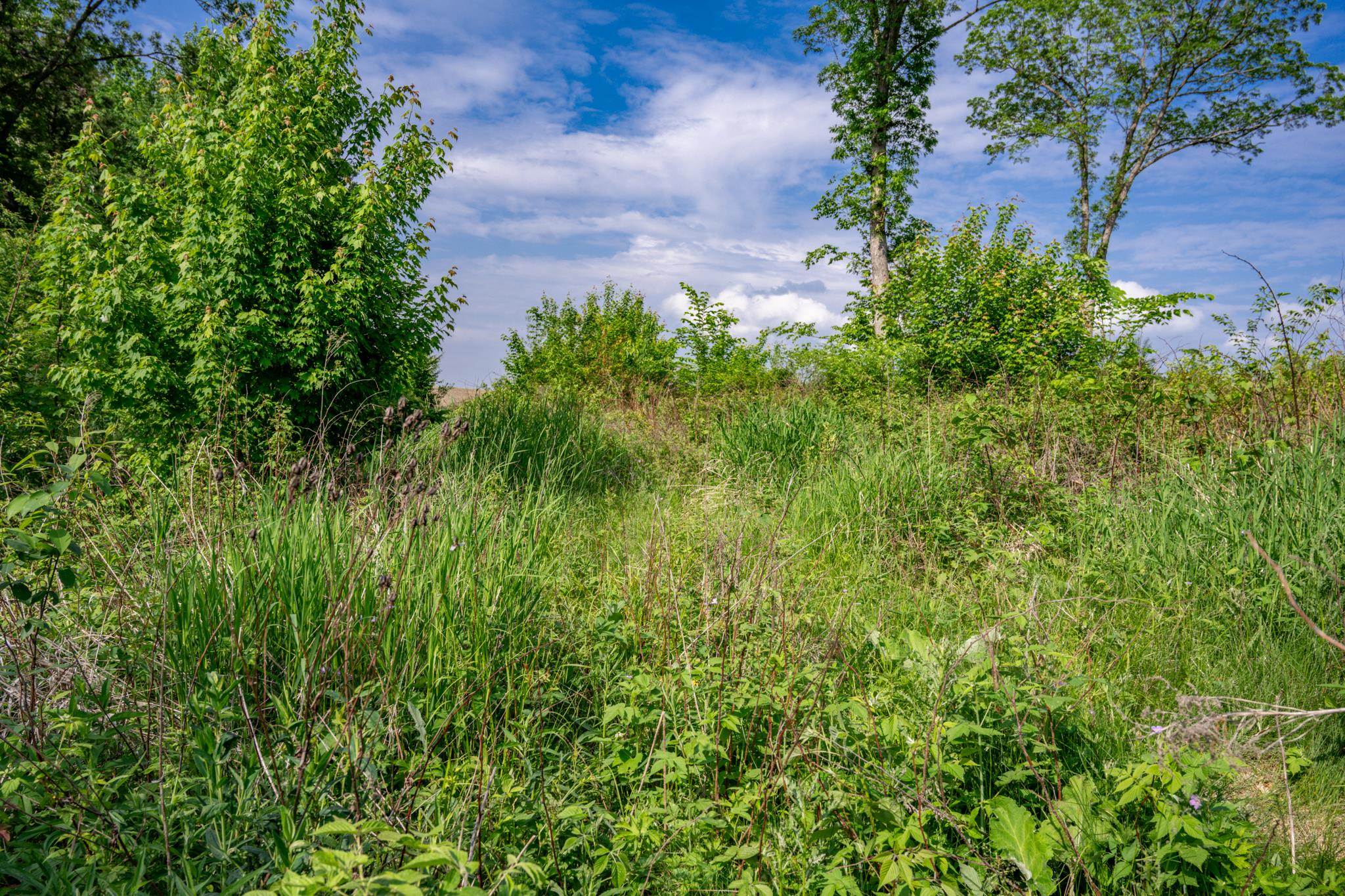 N6927 Schroeder Road