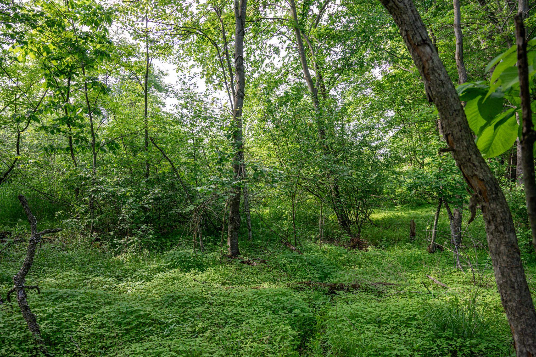 N6927 Schroeder Road