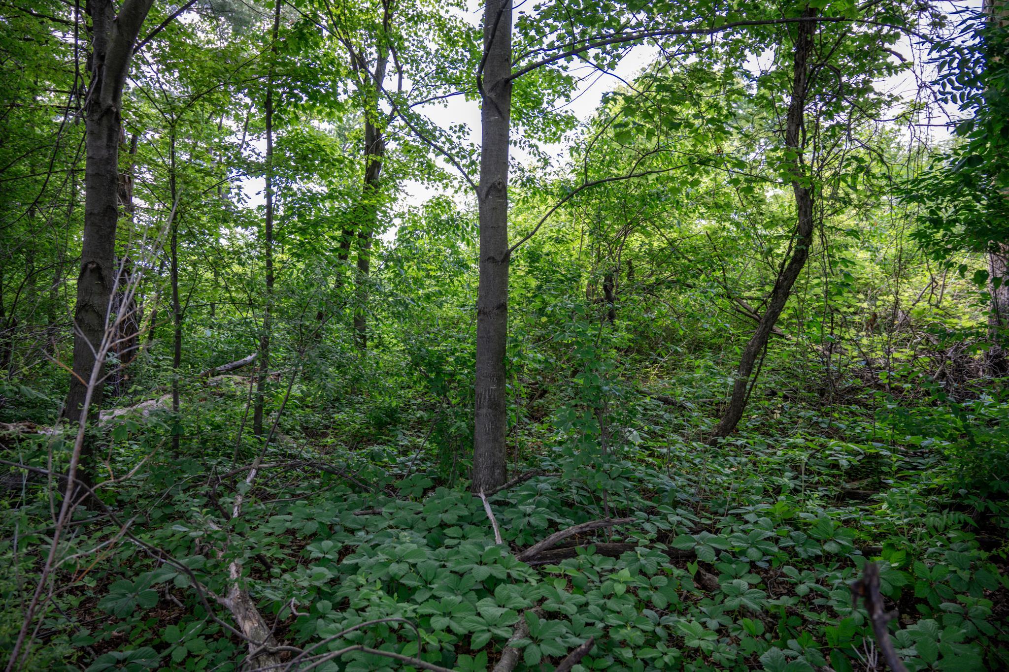N6927 Schroeder Road