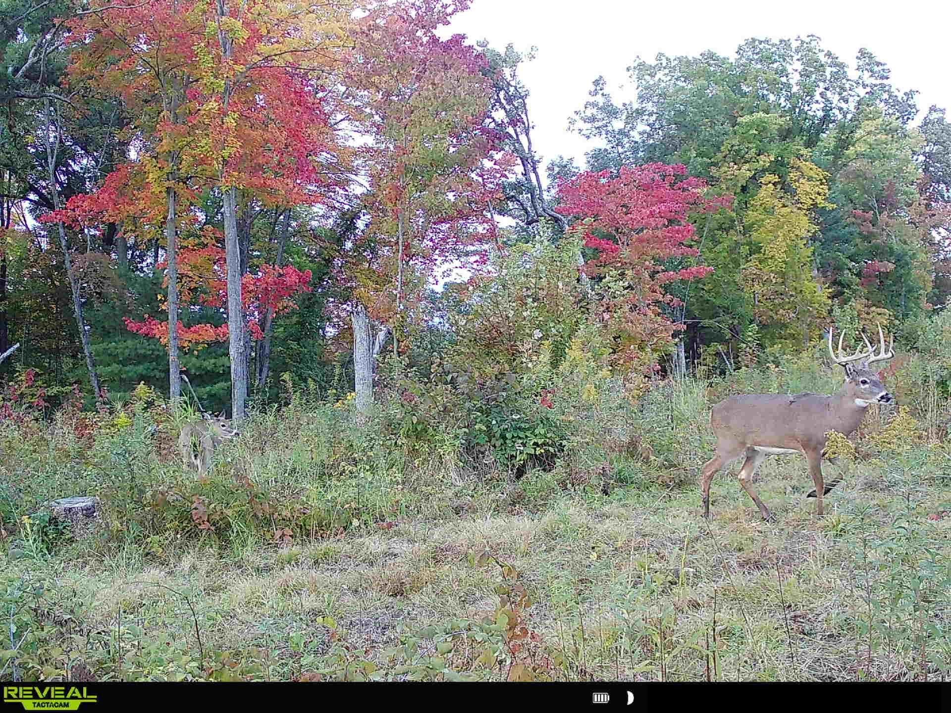 N6927 Schroeder Road