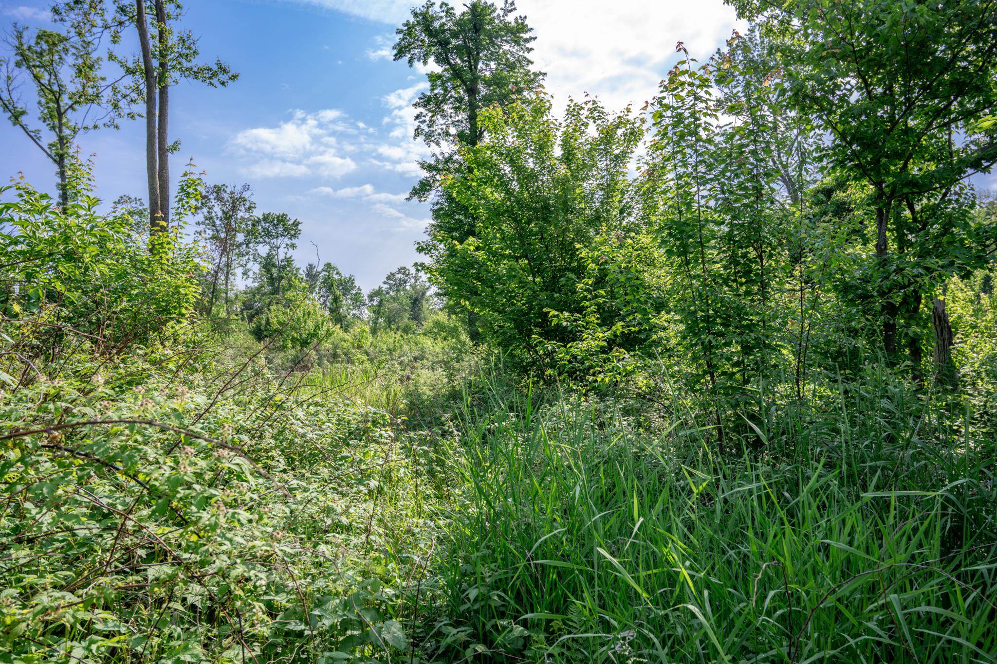 N6927 Schroeder Road