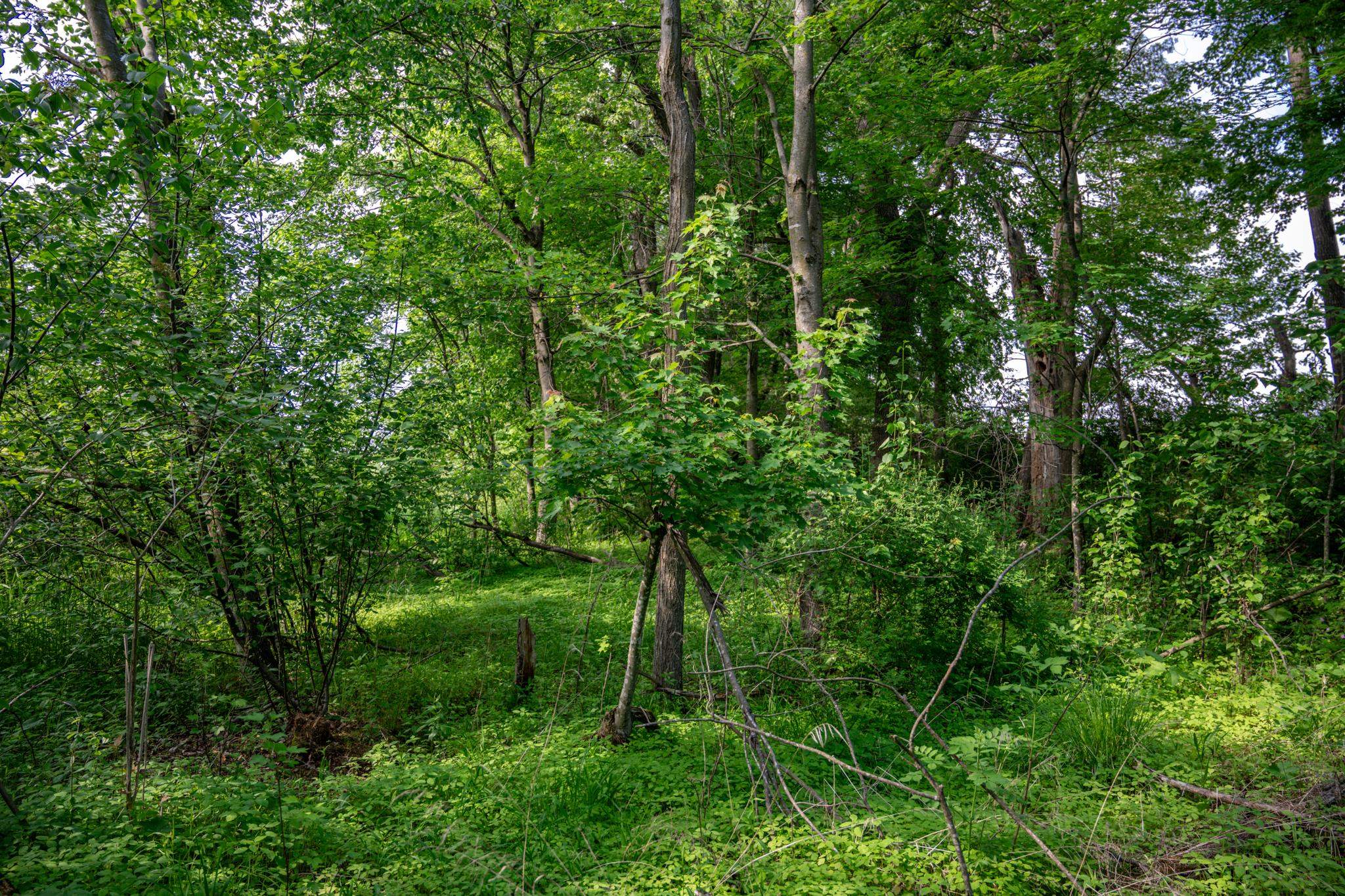 N6927 Schroeder Road