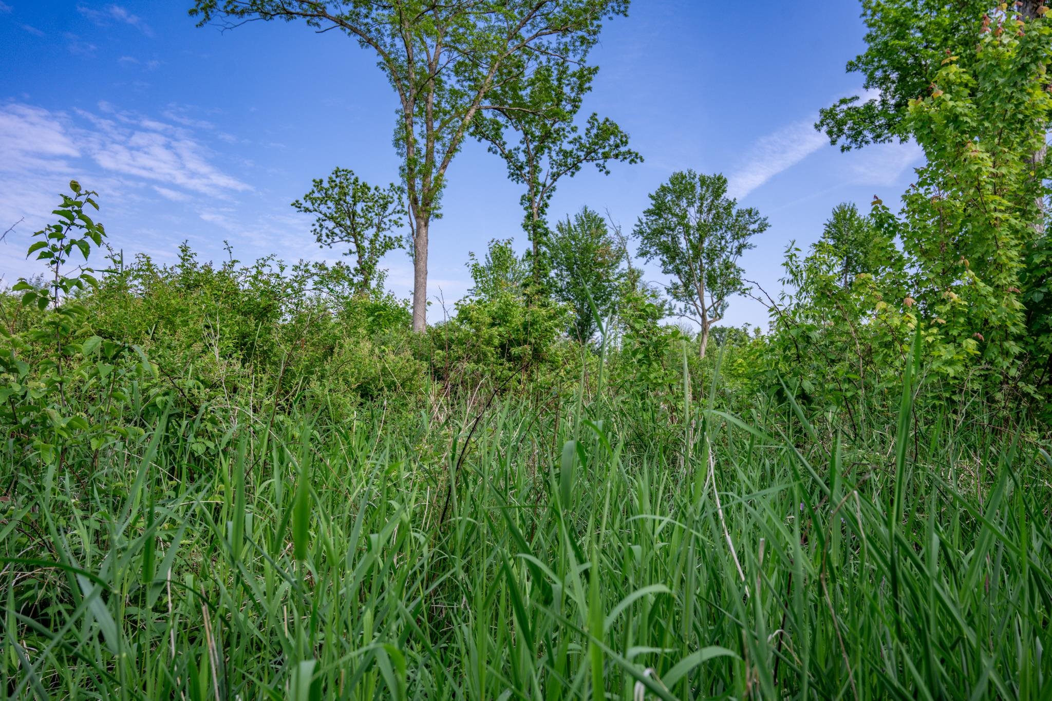 N6927 Schroeder Road