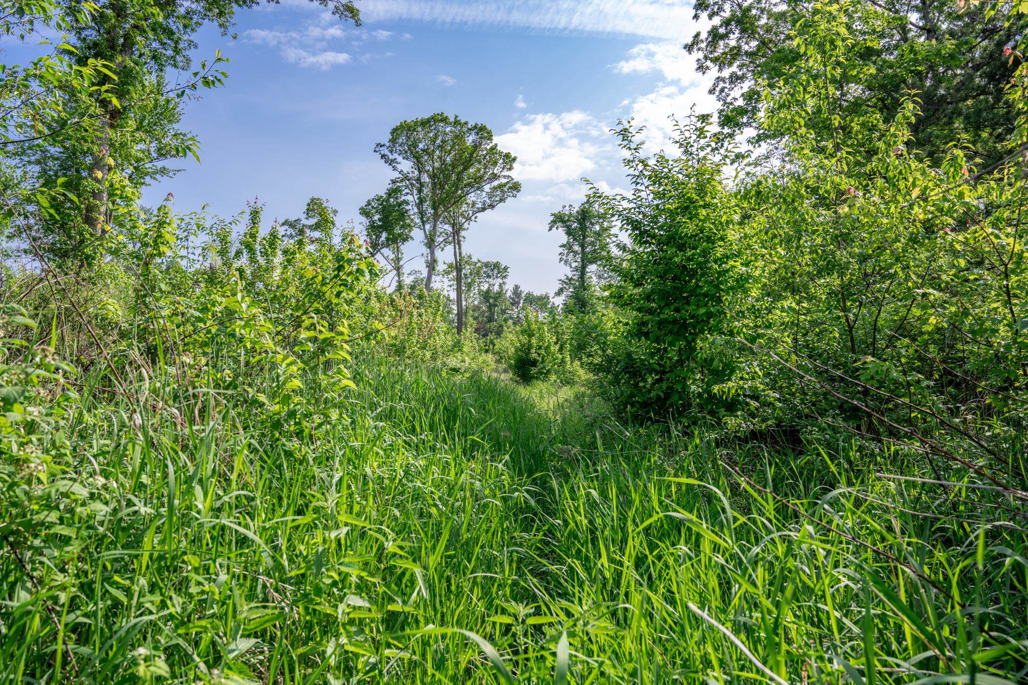 N6927 Schroeder Road