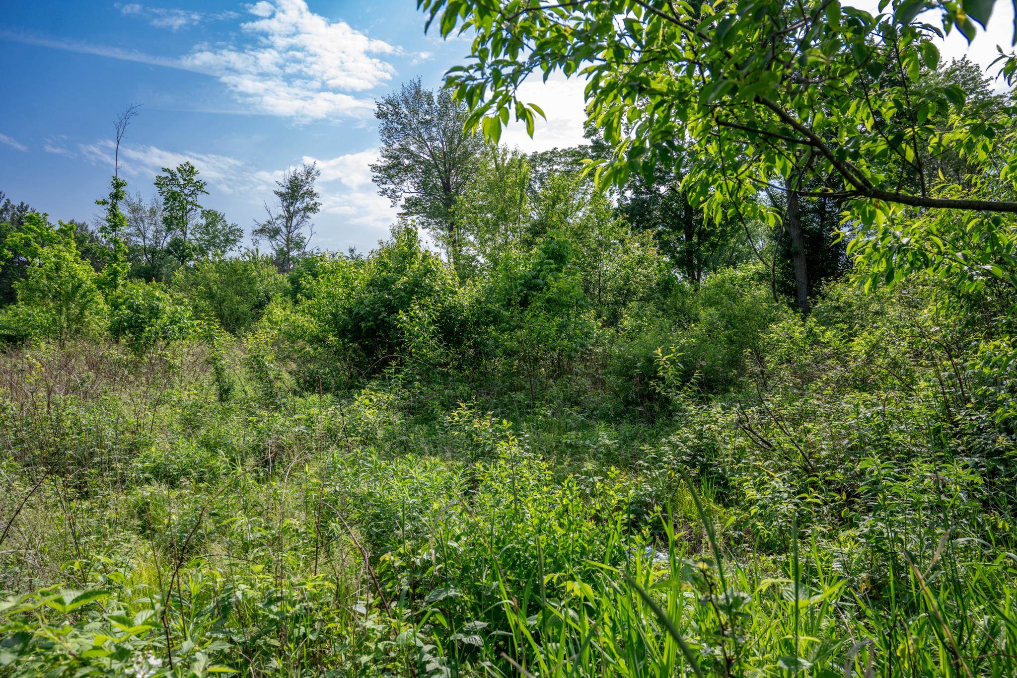 N6927 Schroeder Road