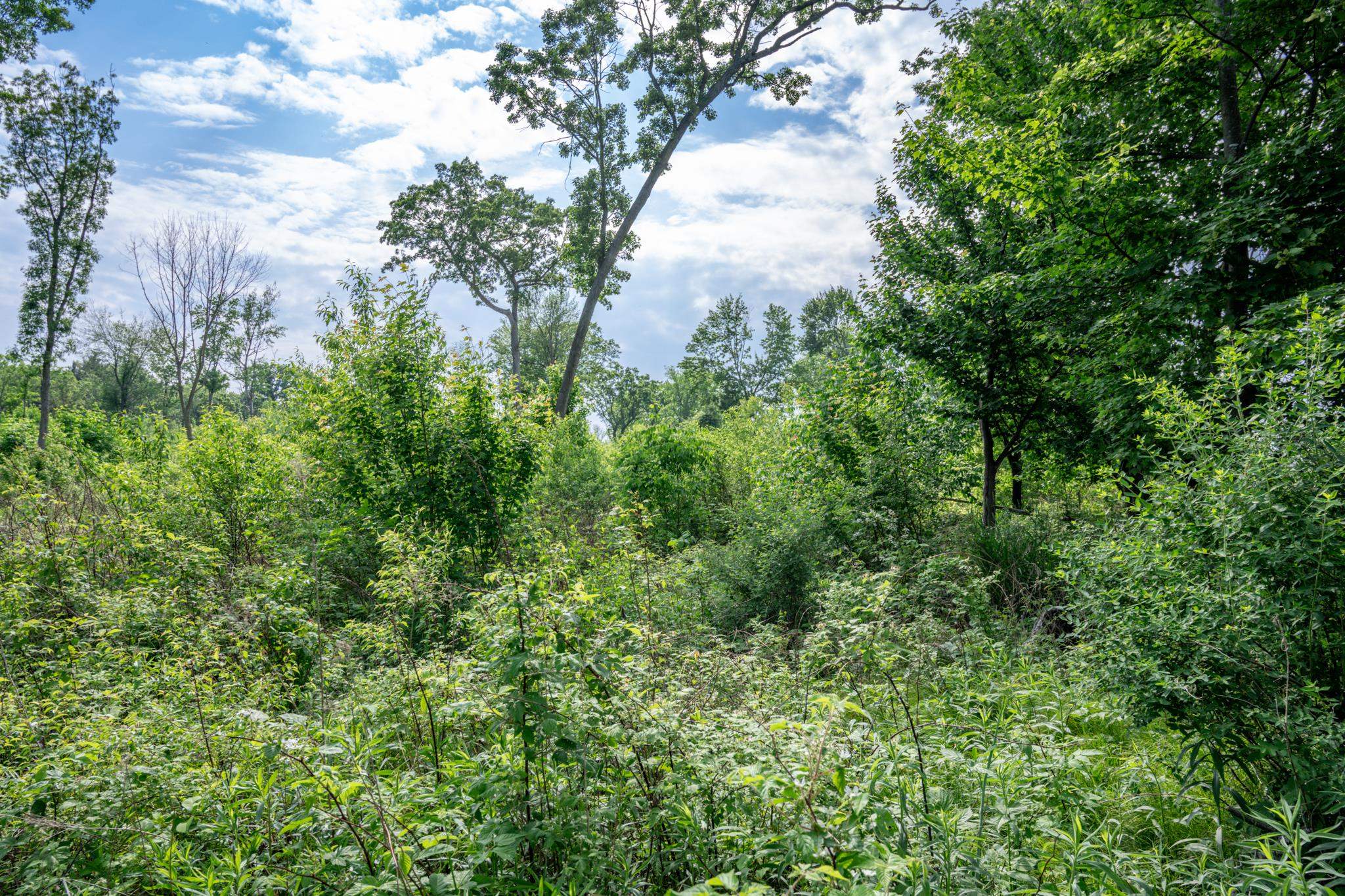 N6927 Schroeder Road
