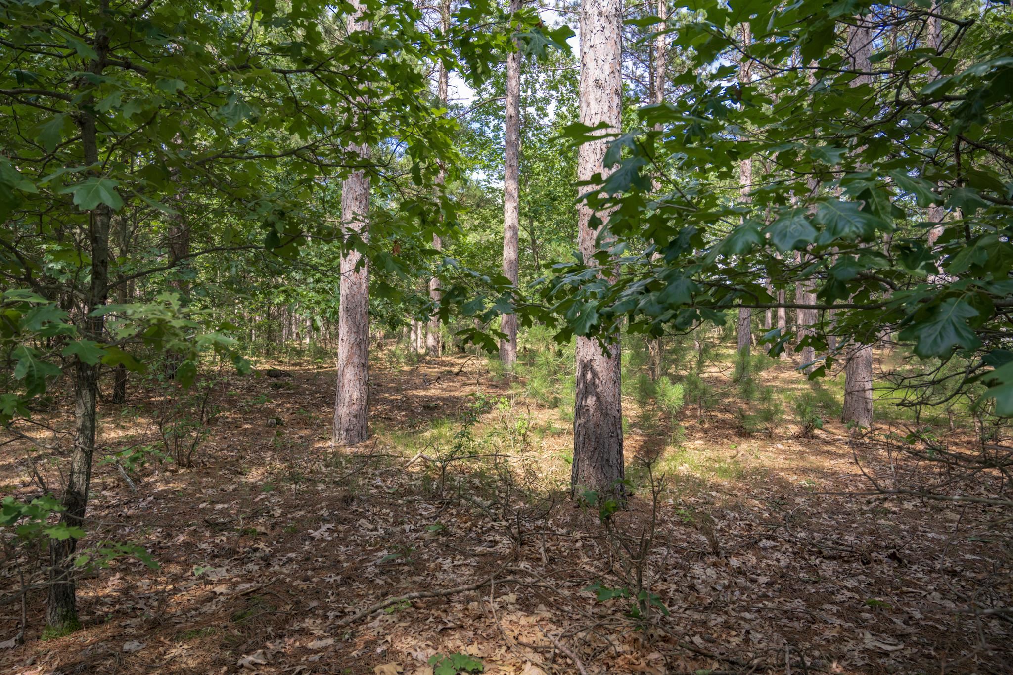 Lot 23 Dover Drive