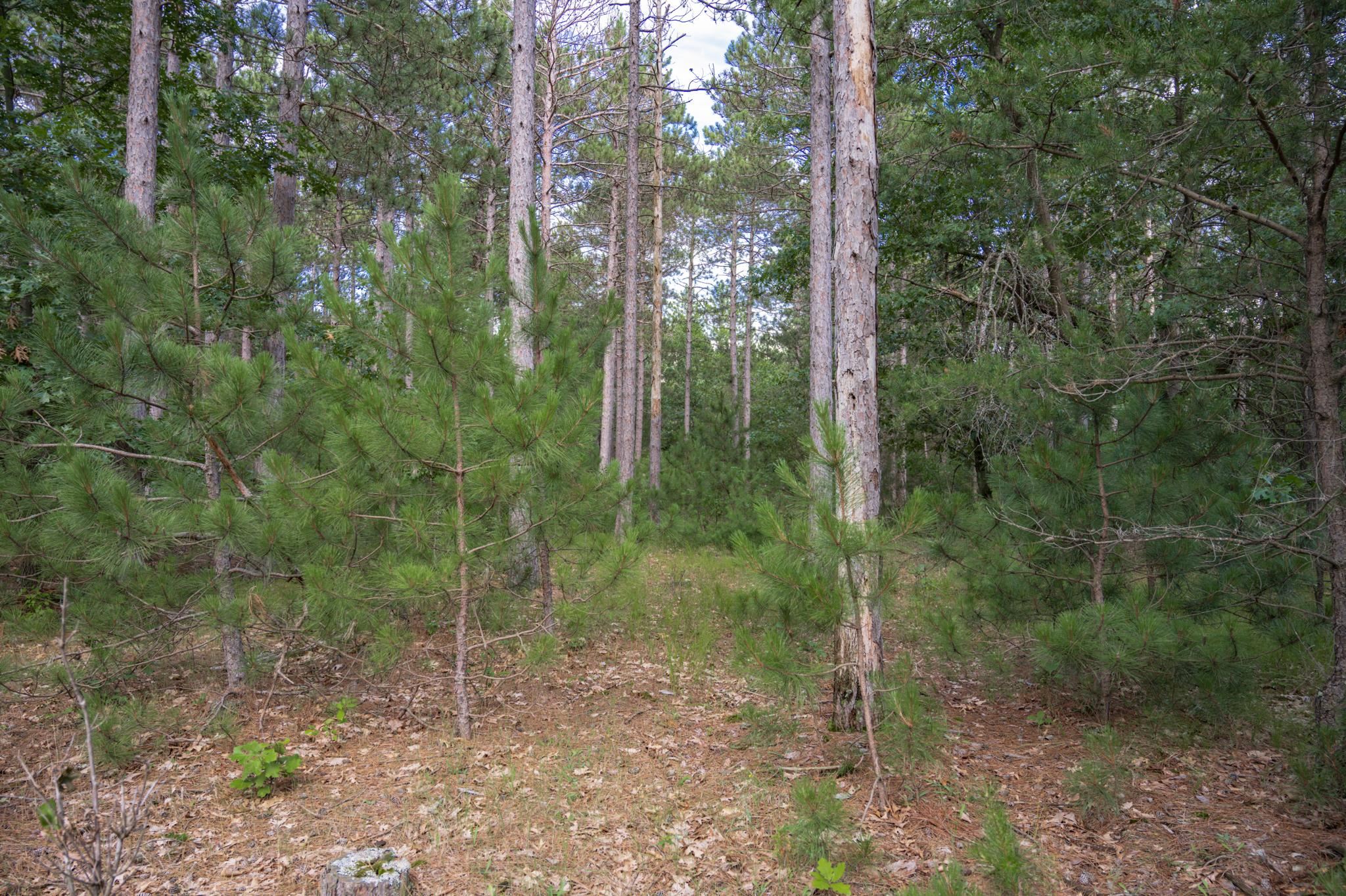 Lot 23 Dover Drive