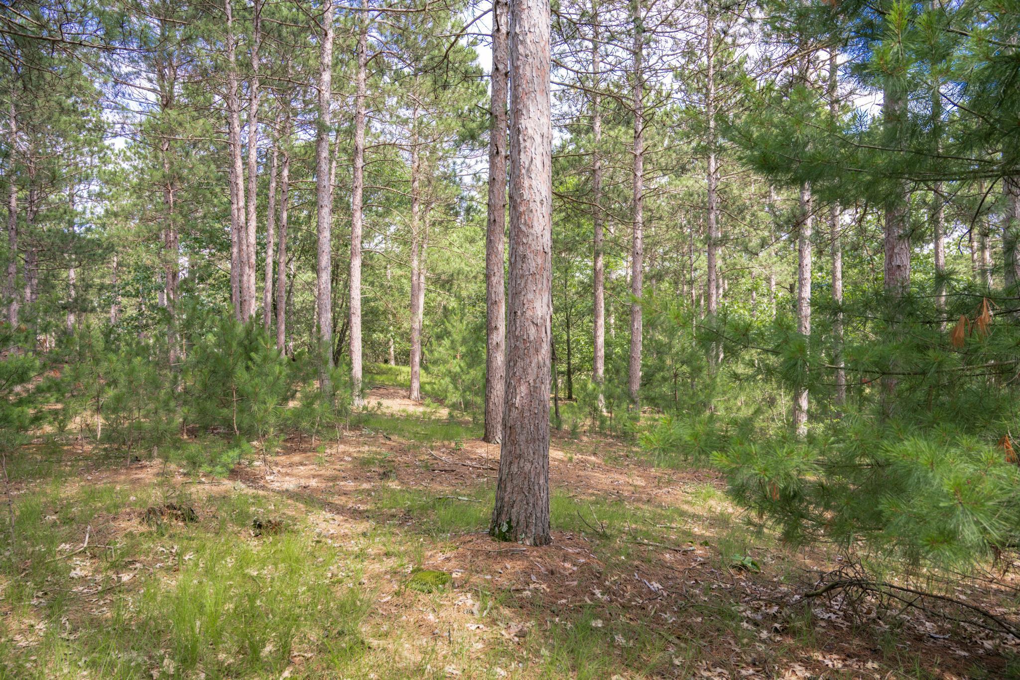 Lot 23 Dover Drive