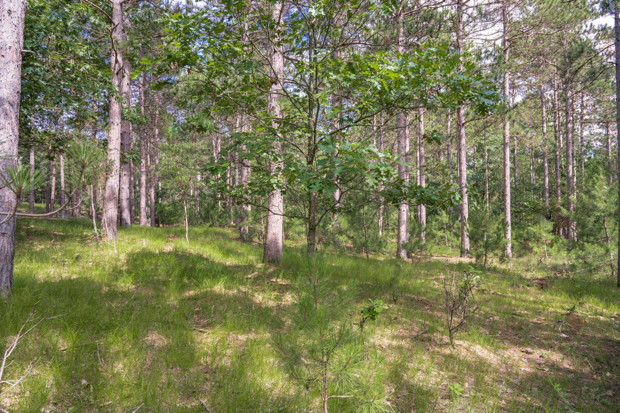 Lot 23 Dover Drive