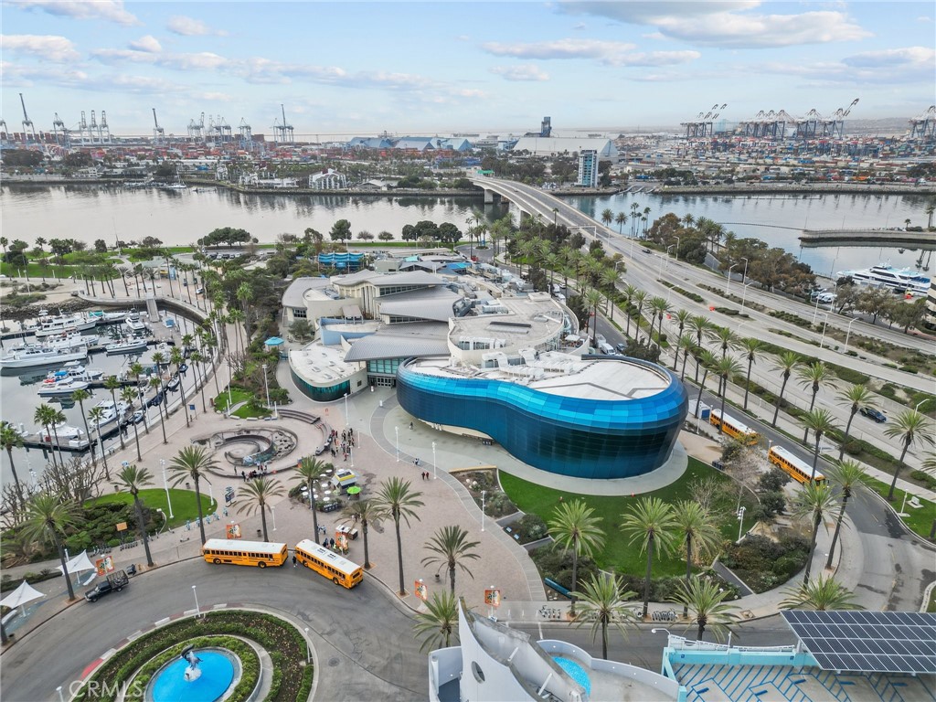 488 E Ocean Boulevard 1111