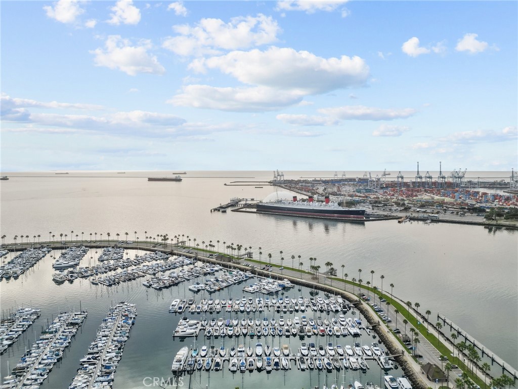 488 E Ocean Boulevard 1111