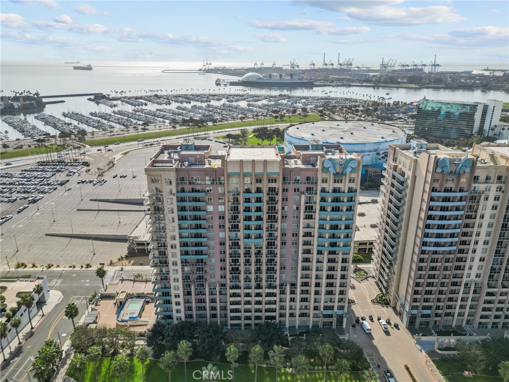 488 E Ocean Boulevard 1111