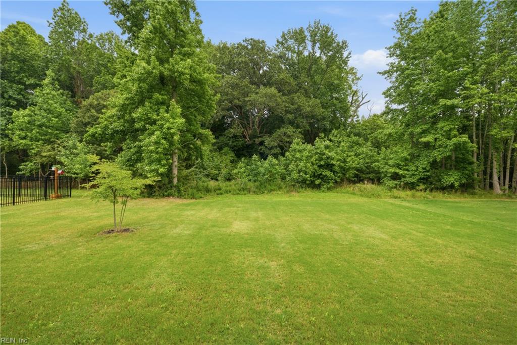 Spacious backyard lawn bordered by dense trees, with a young tree and black metal fence.
