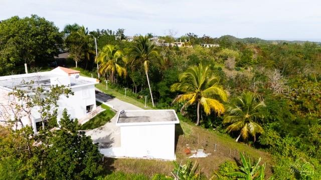 White flat-roofed home and outbuilding surrounded by palm trees and dense greenery.