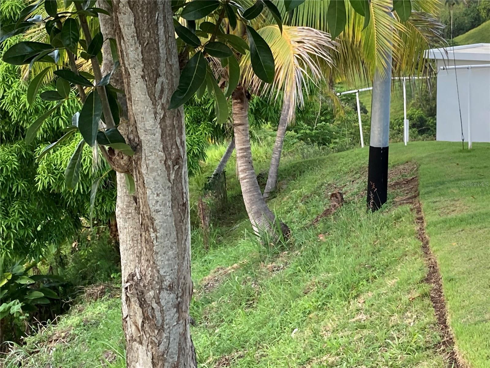 0 BO CRUCES, CARR. 115 RAMAL 4414 KM HM 2.5 RD